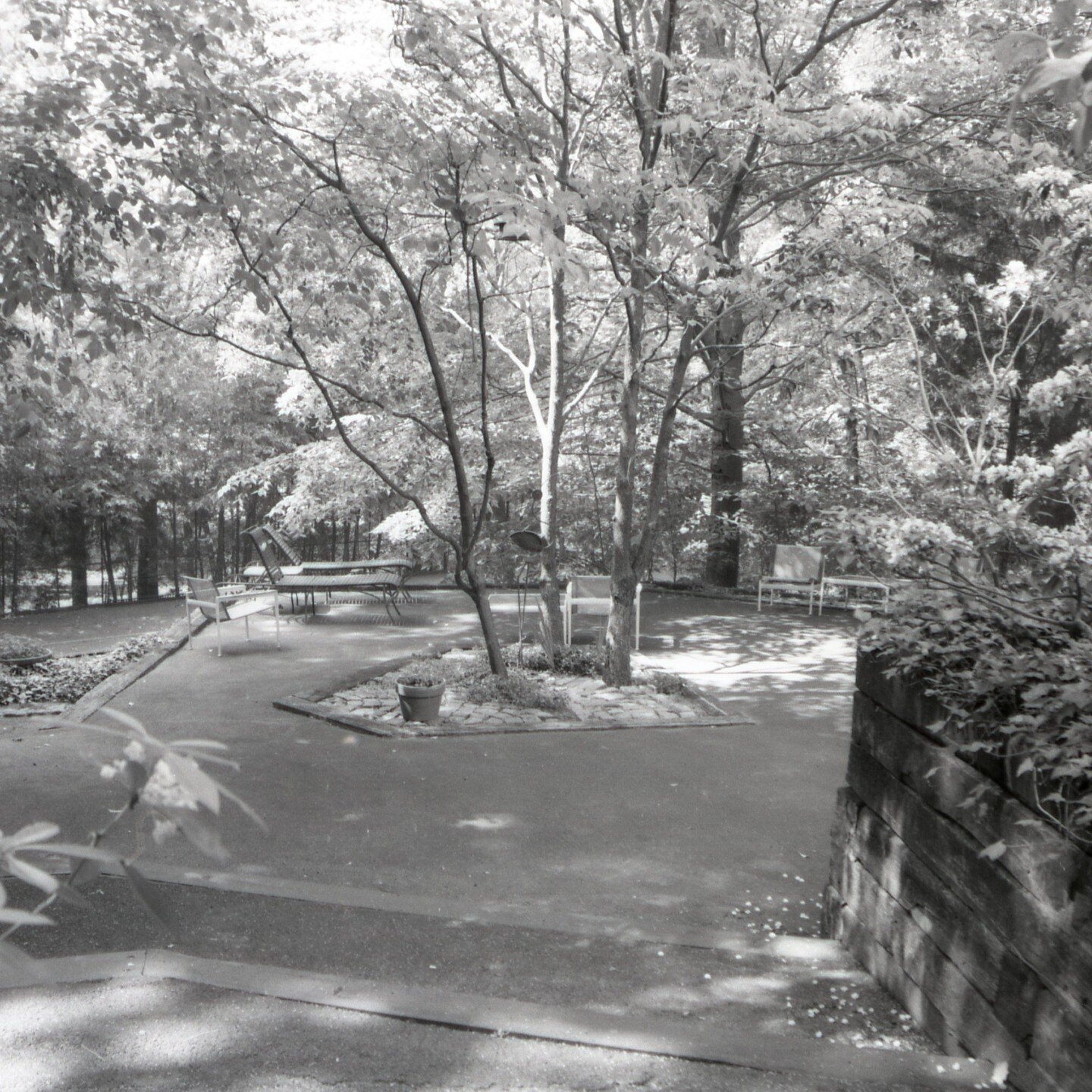 Paley Garden, Saddle River, NJ (1973). Architecture by Eleanore Petterson, with whom Rose worked on many projects in the area. The Paley's had a great respect for the natural cover of the site - an attitude with which Rose was strongly aligned.

#arc