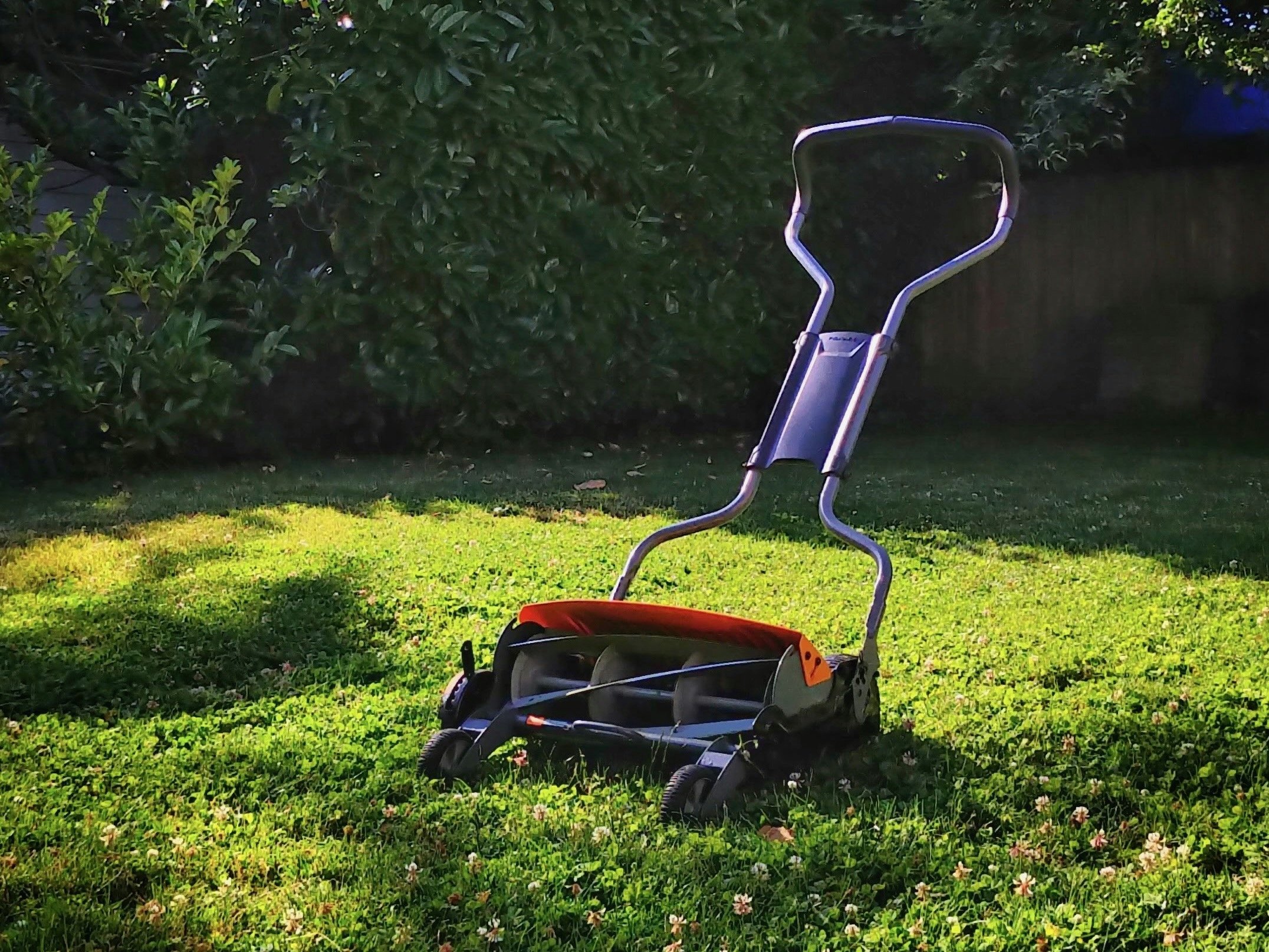 Suburbia Transformed: Practical Advice and the Future of Lawn Care with Mike Tarleton