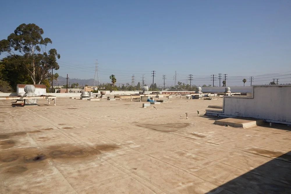 GIL_and_ROY Studios Rooftop 2.jpg