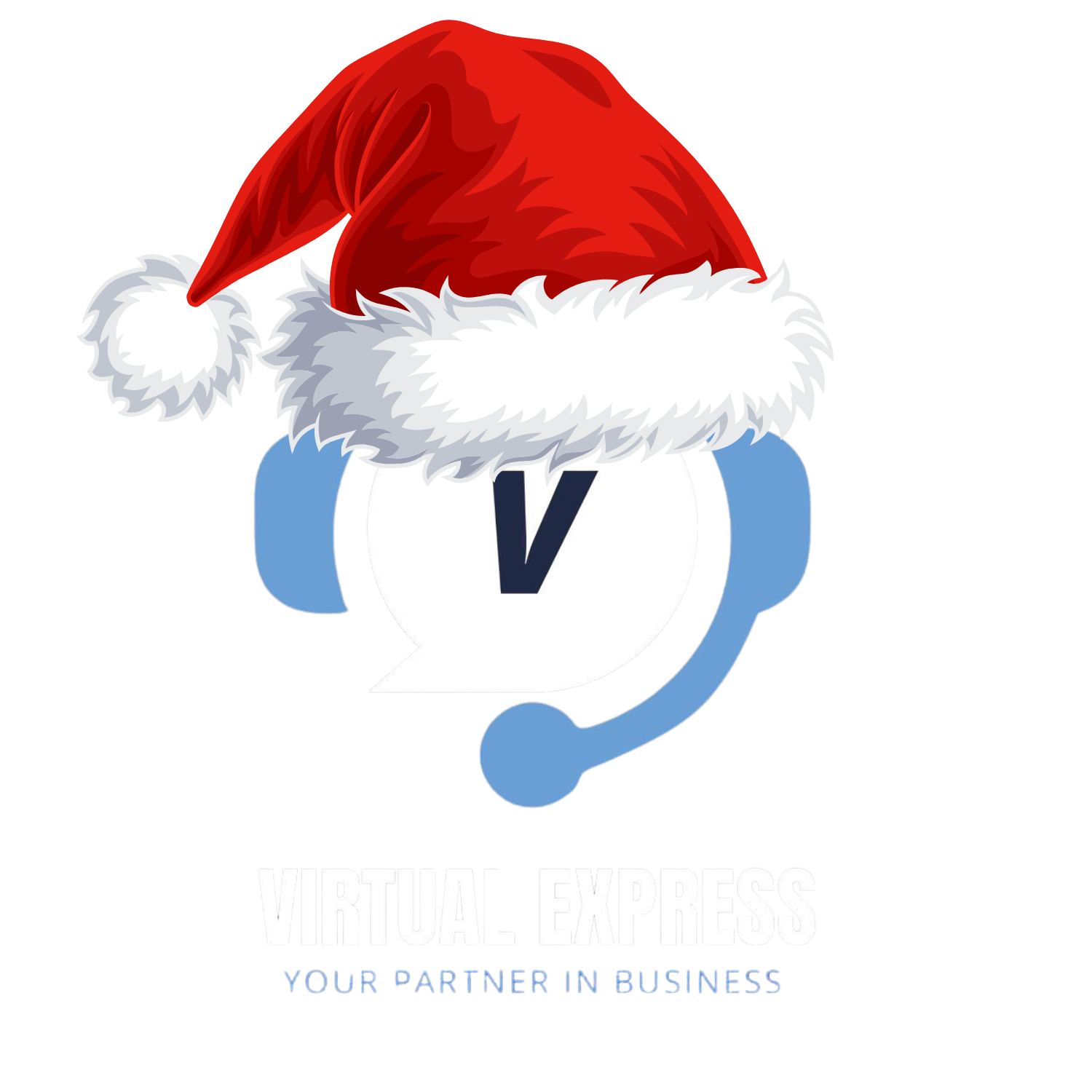 Virtual Express Inc.