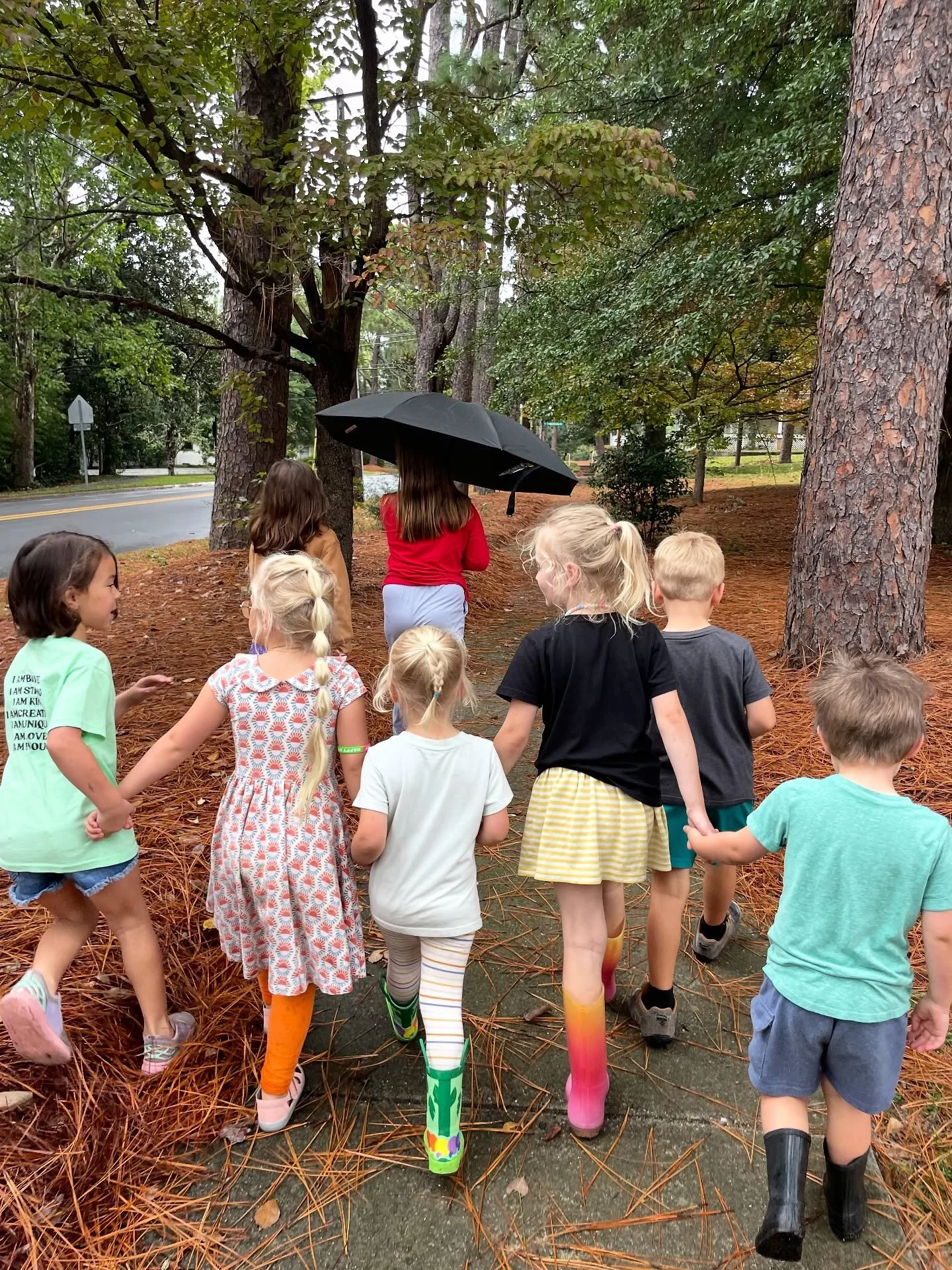 It may have been a gray and rainy few days in the pines, but these kids brought ALL the color! 🌧️🌈✨

Our Walking School Bus marched on and and we came back soaked (core memories, right?!), Preschoolers dove into paint and experiments (a full-body e