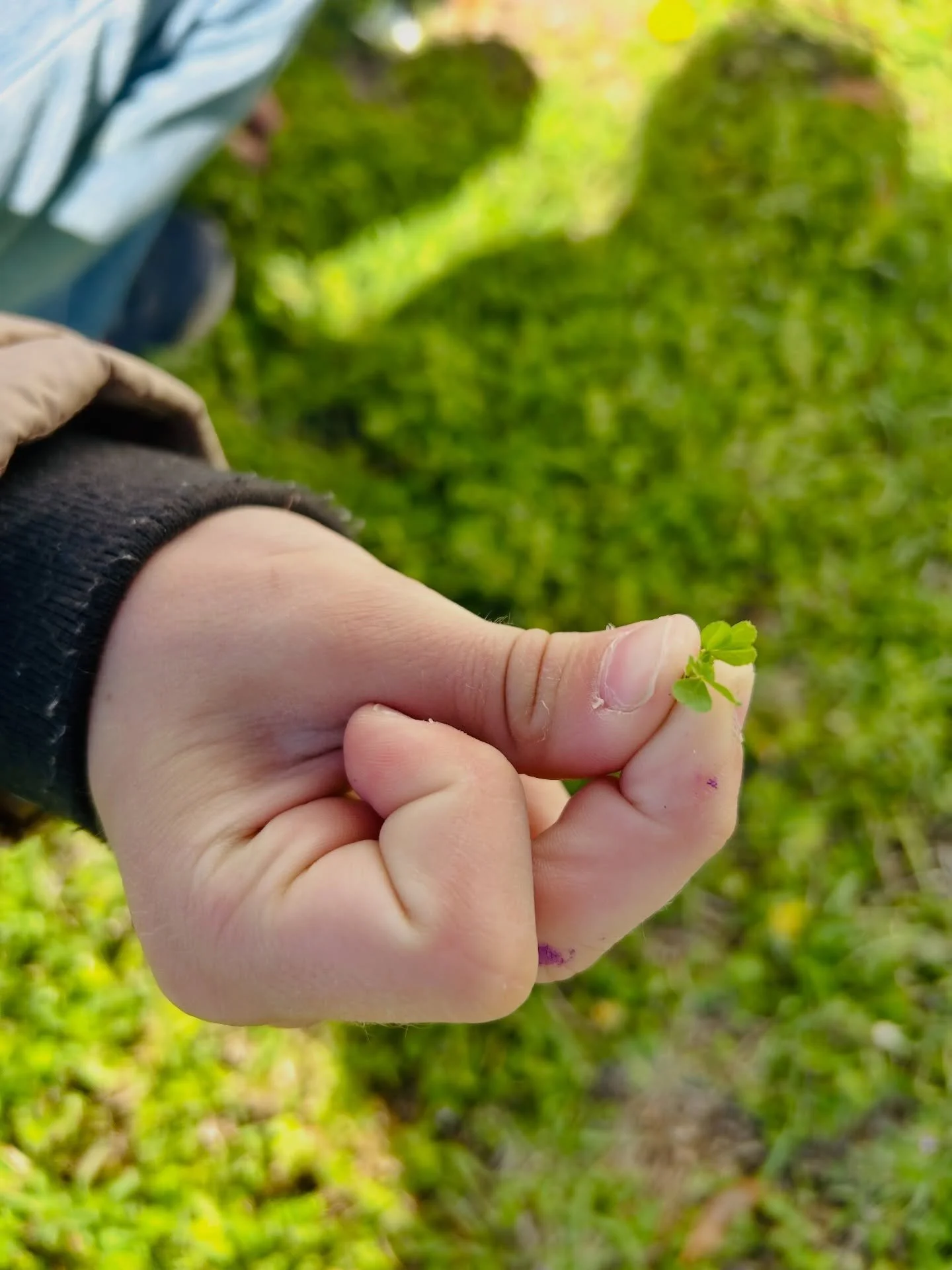Happy St. Patrick&rsquo;s Day from our homeschoolers! 💚🍀🌿

A day full of nature + noticing the little things ✨