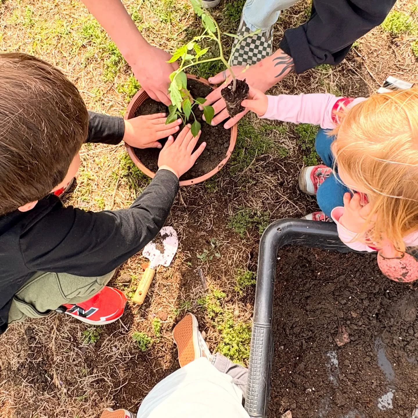 Nature Club is off to a beautiful start 🌱✨

We started out learning all about plants and even planted our own little garden to care for&hellip; such a special, hands-on way to connect with nature 💚

Homeschool Nature Club is offered on Monday morni
