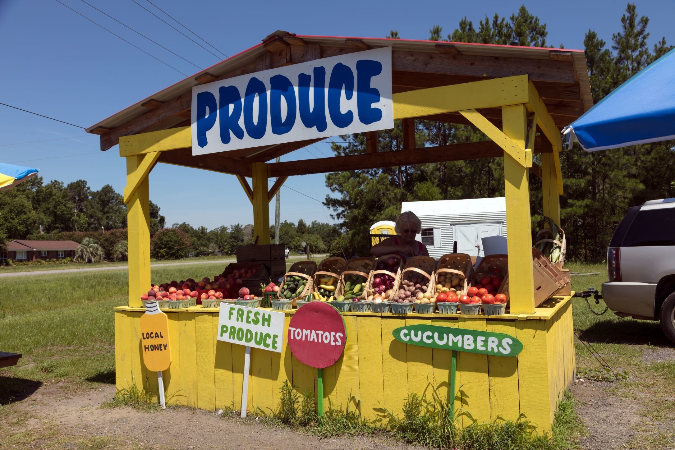 Aunt Freedom's Squash and Onions — Sunday in South Carolina