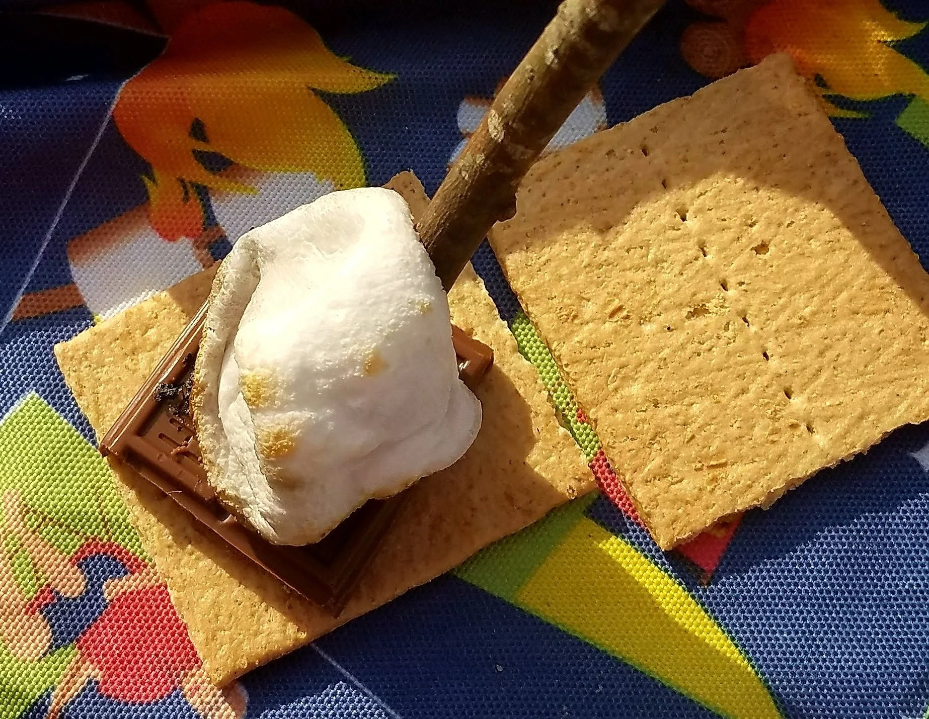 Marshmellow on Graham Cracker with Chocolate.jpg