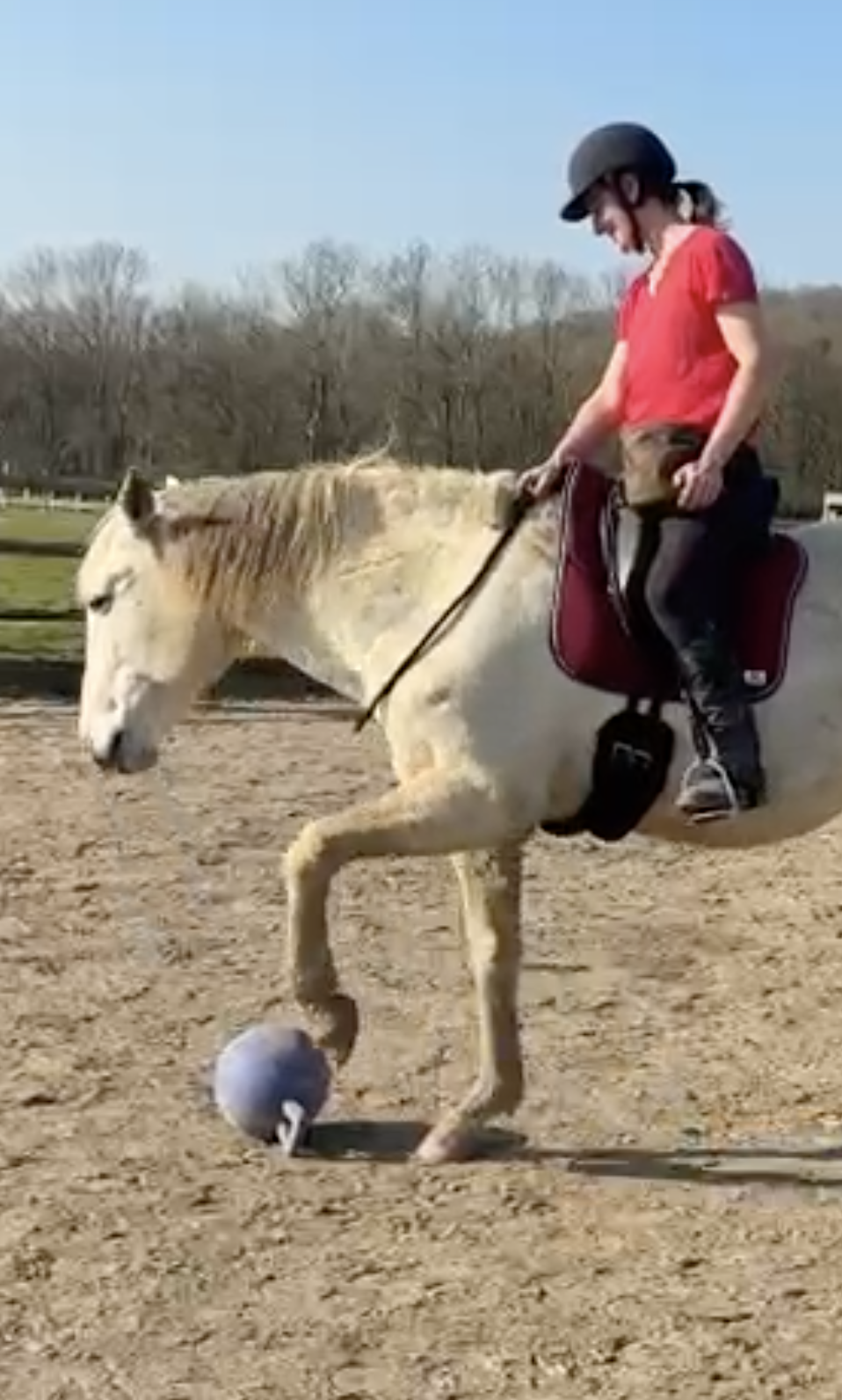 Screenshot 2026-03-25 at 23.17.06.png