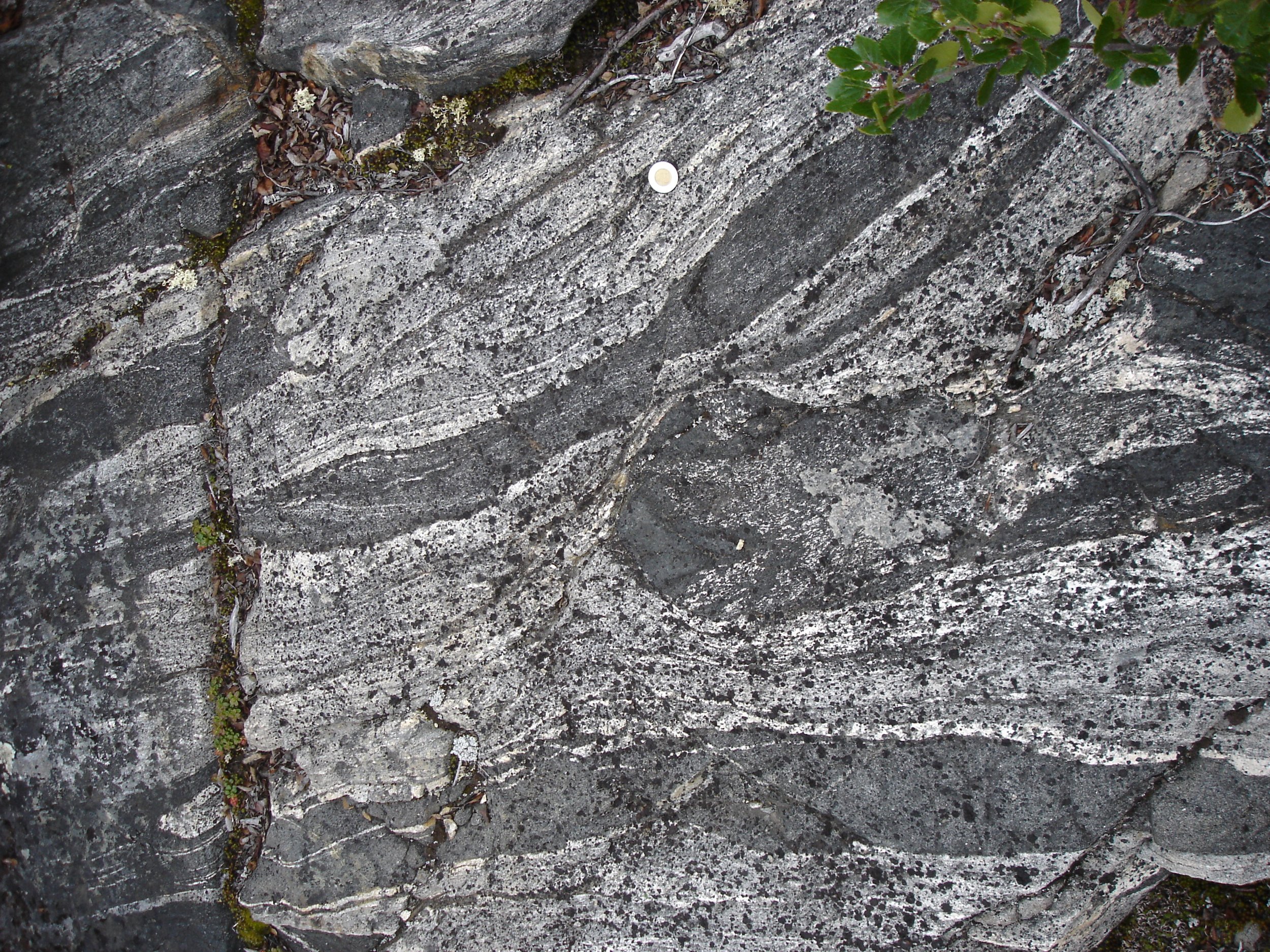 Banded Gneisses in the Acasta Gneiss Complex