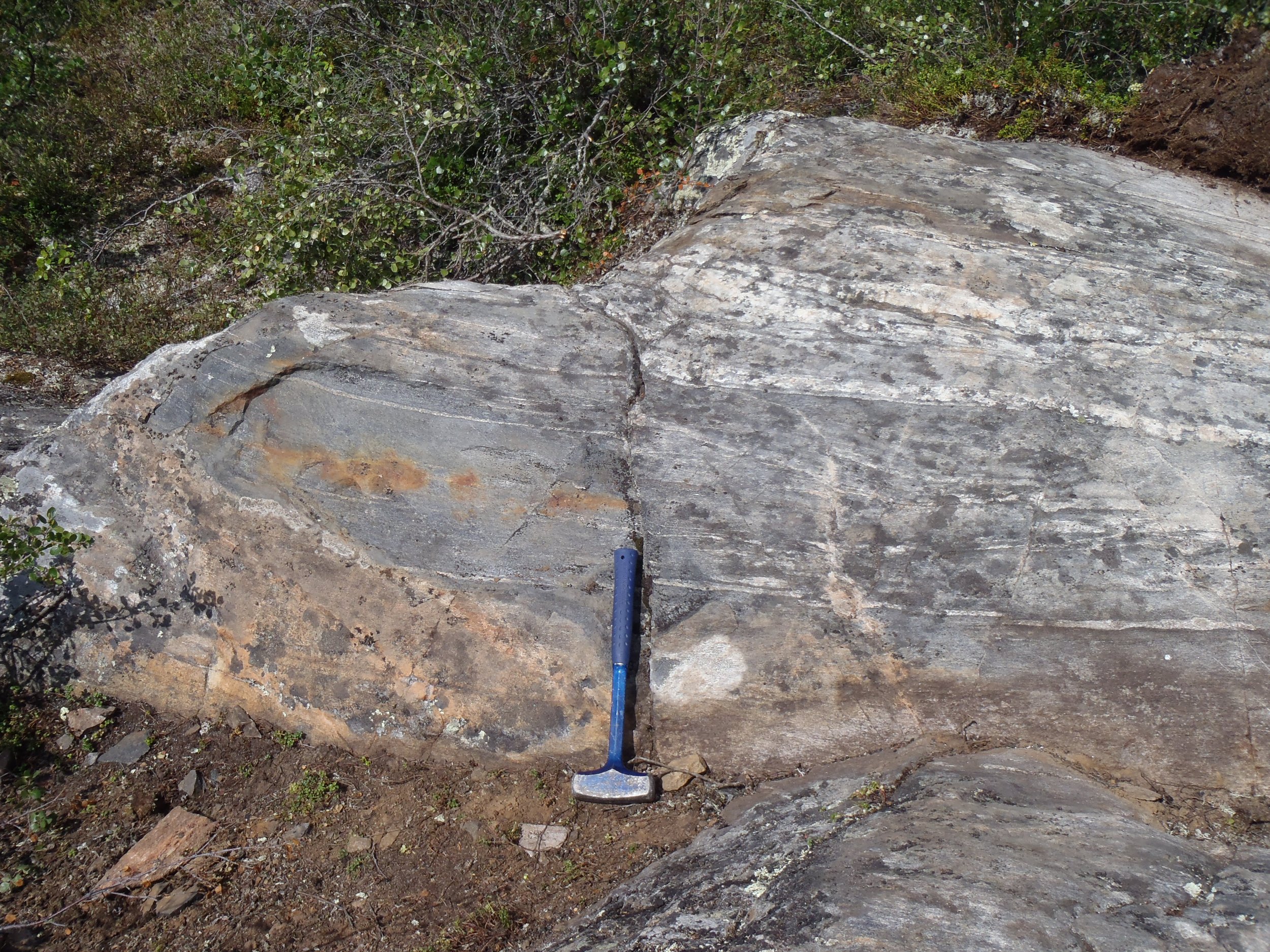 The 4.02 billion-year-old Idiwhaa Tonalitic Gneiss