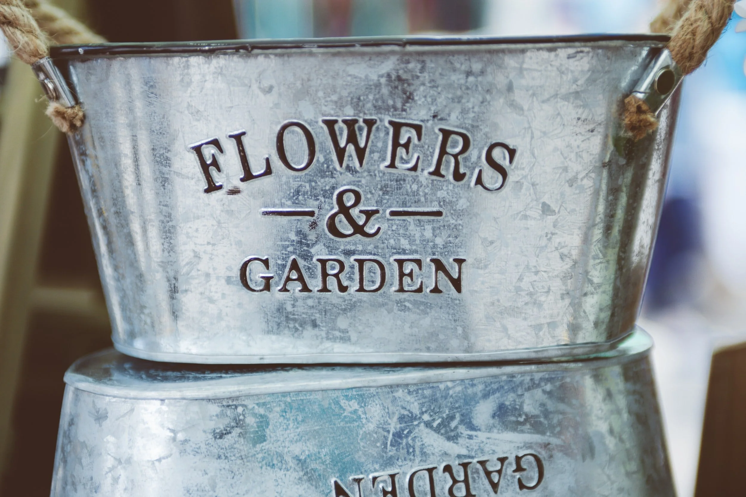 How to sterilise your buckets to keep your flowers alive longer