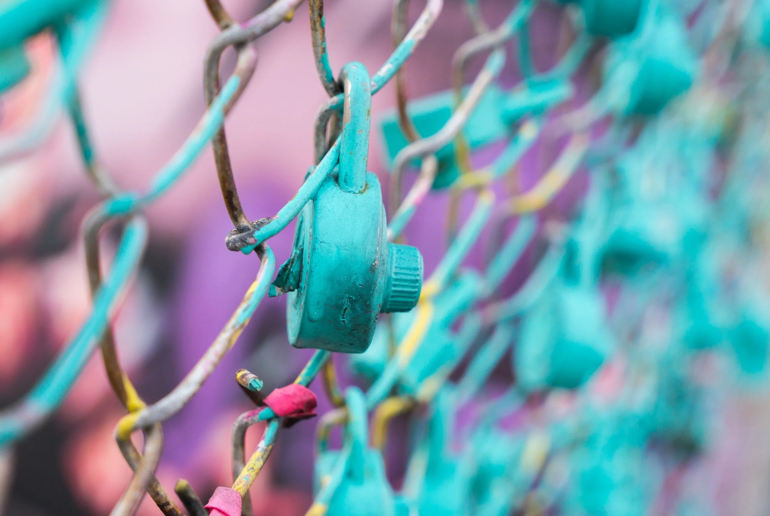 GDPR for florists and flower shop owners