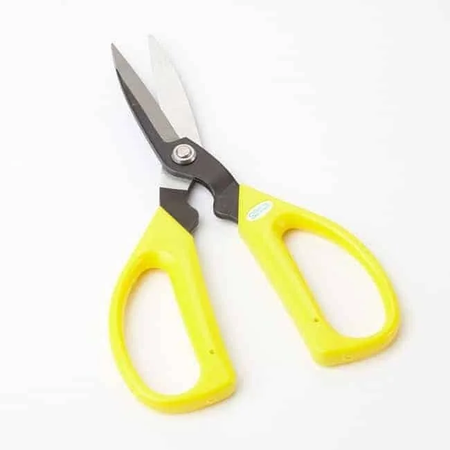 Lasuroa Floral Scissor, 2 In 1 Stainless Steel Garden Flower Shear Replaceable Blade Florist Tools For Cutting Fresh Flowers Leafs Rose Thorn ( Green