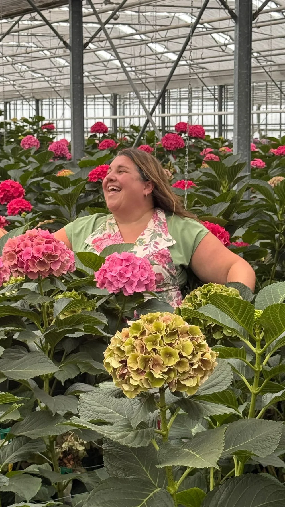 Janette and Deirdre from Kays Flower School visit a Hydrangea Breeder on a recent visit to the Netherlands  (10).jpeg