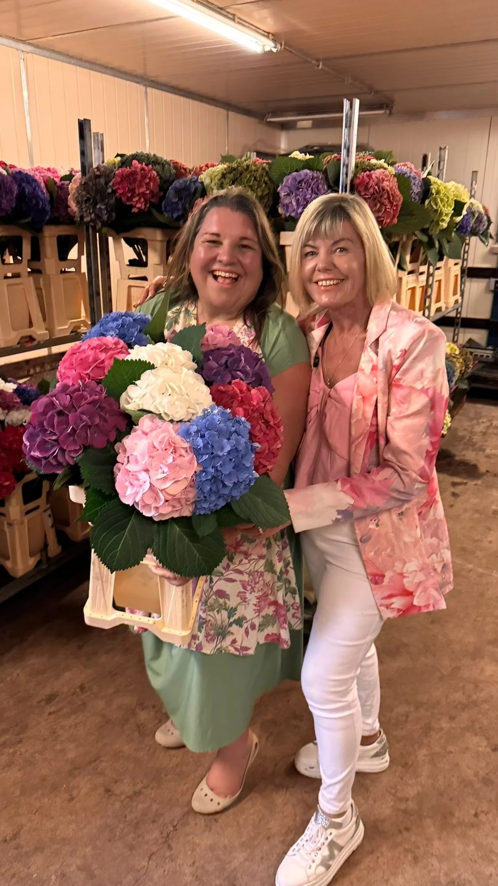 Sarah Campbell and Janette O Rourke visit Agriom Hydrangea Breeder in the Netherlands.jpeg