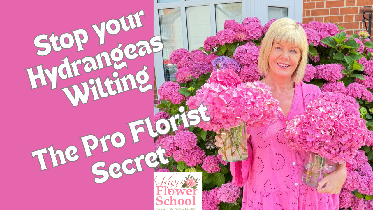 Hydrangea SOS: How to Stop Your Blooms From Wilting (And Revive Them Too!)