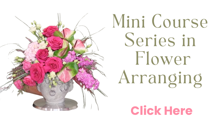 Sympathy Mini Courses
