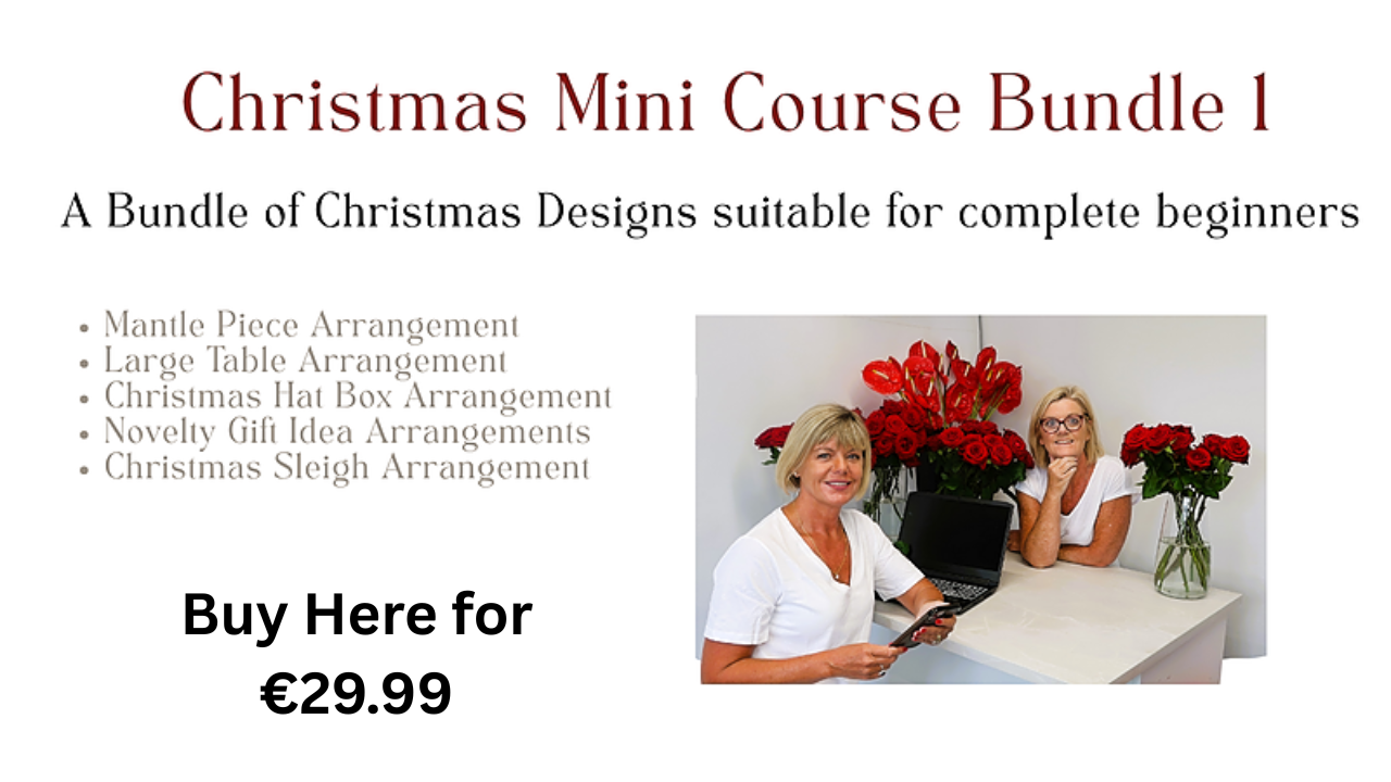 Buy Here for €29.99.png