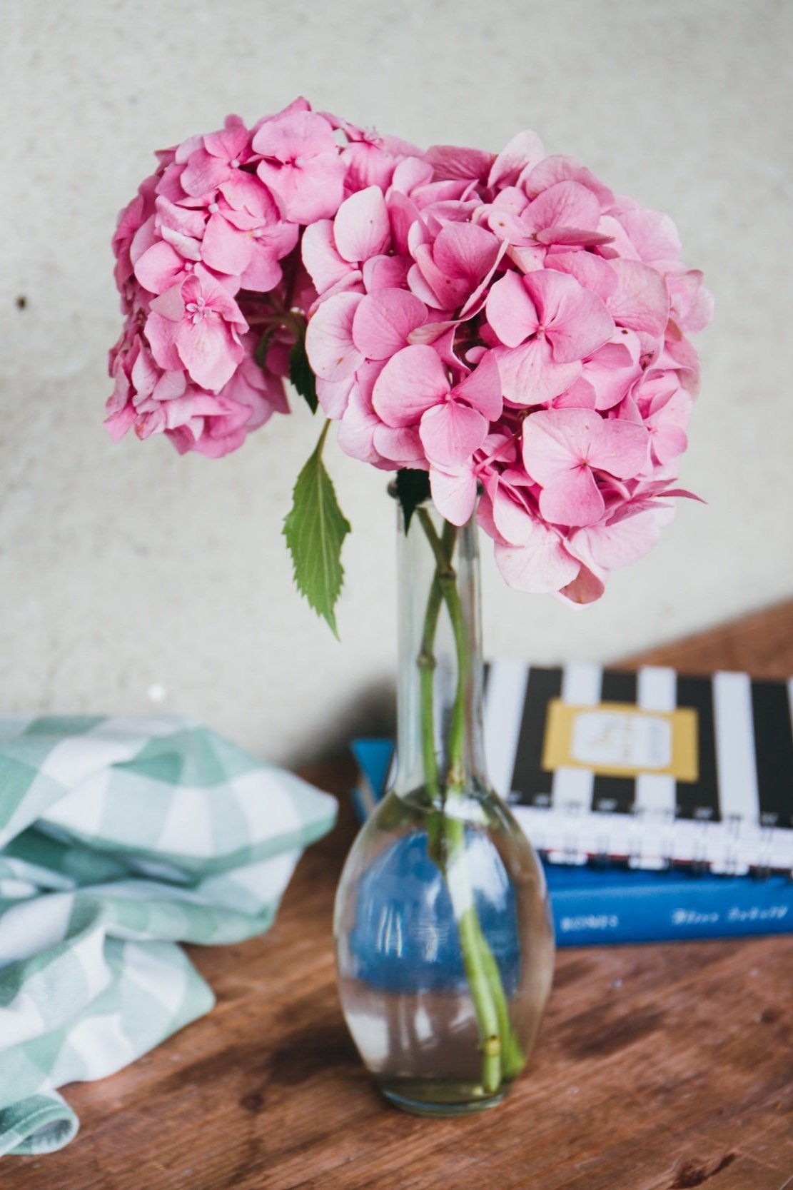 How to Prolong the Life of Hydrangeas — Kay's Flower School