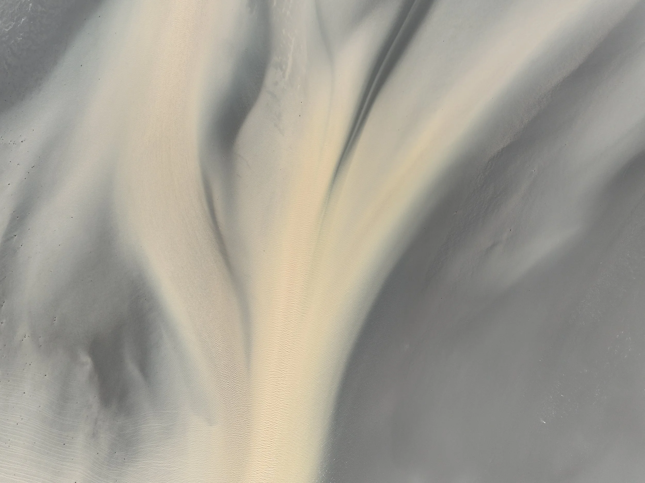 DJI_0381.jpg