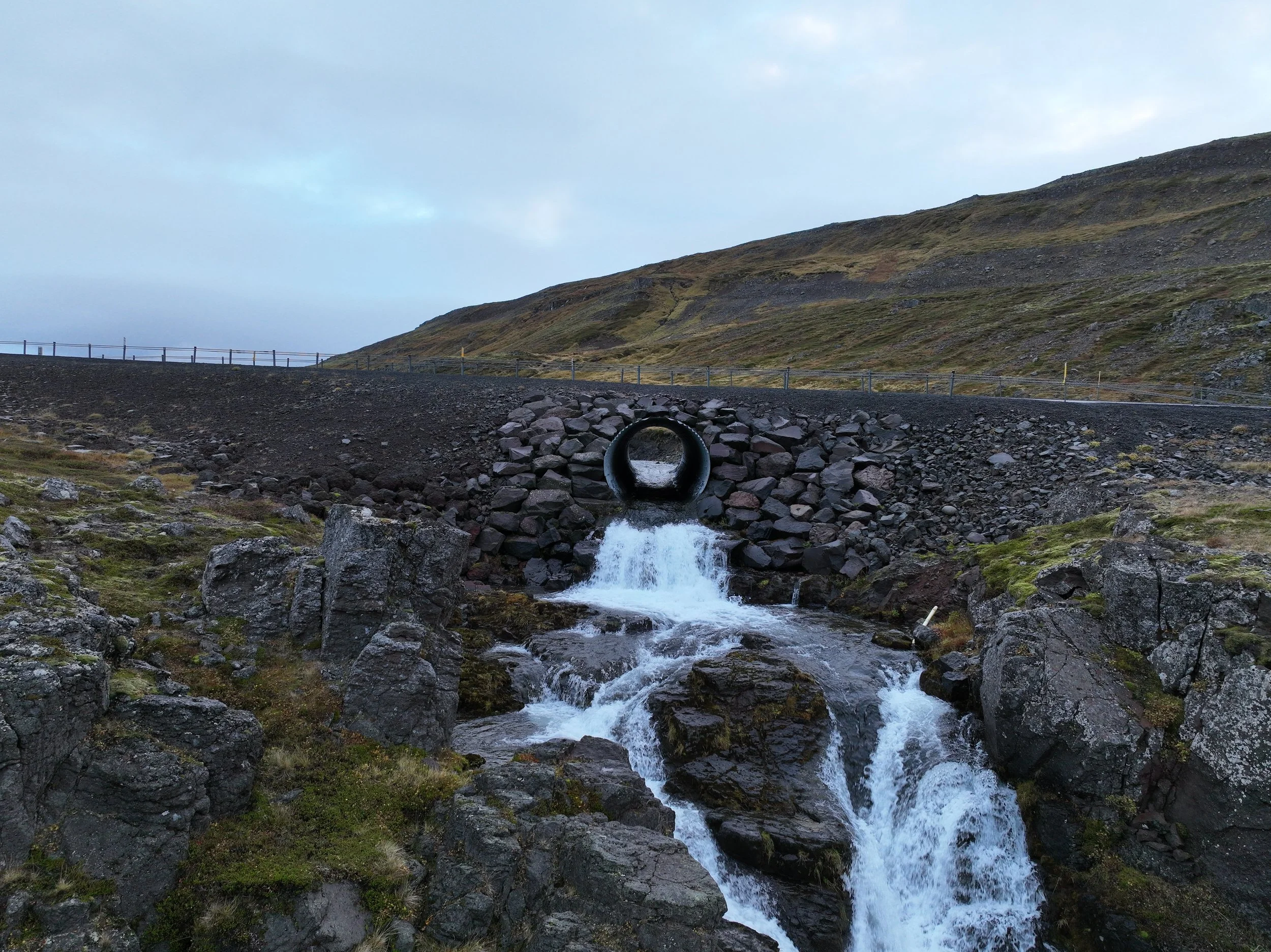 DJI_0305.jpg