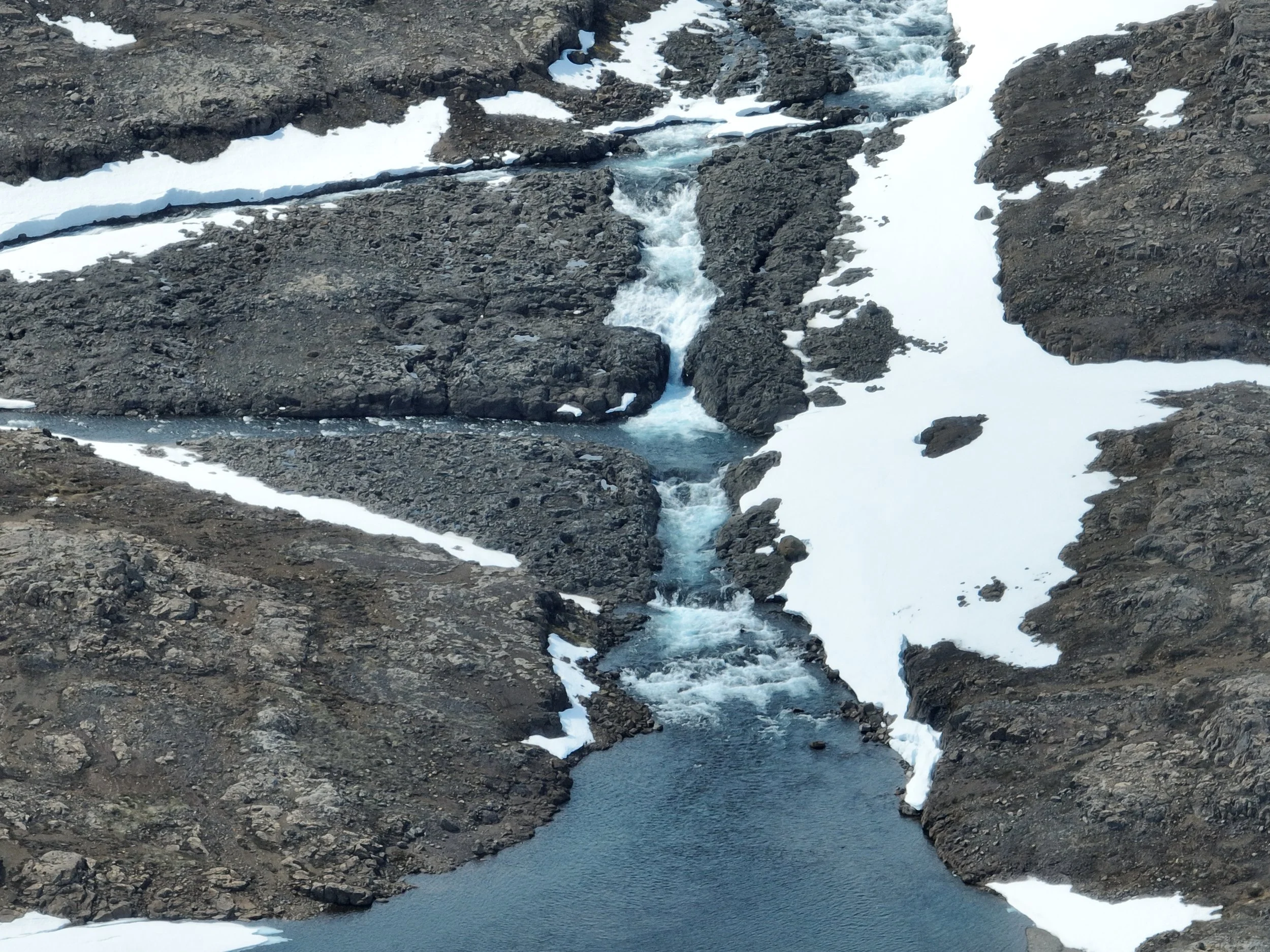 DJI_0123.jpg