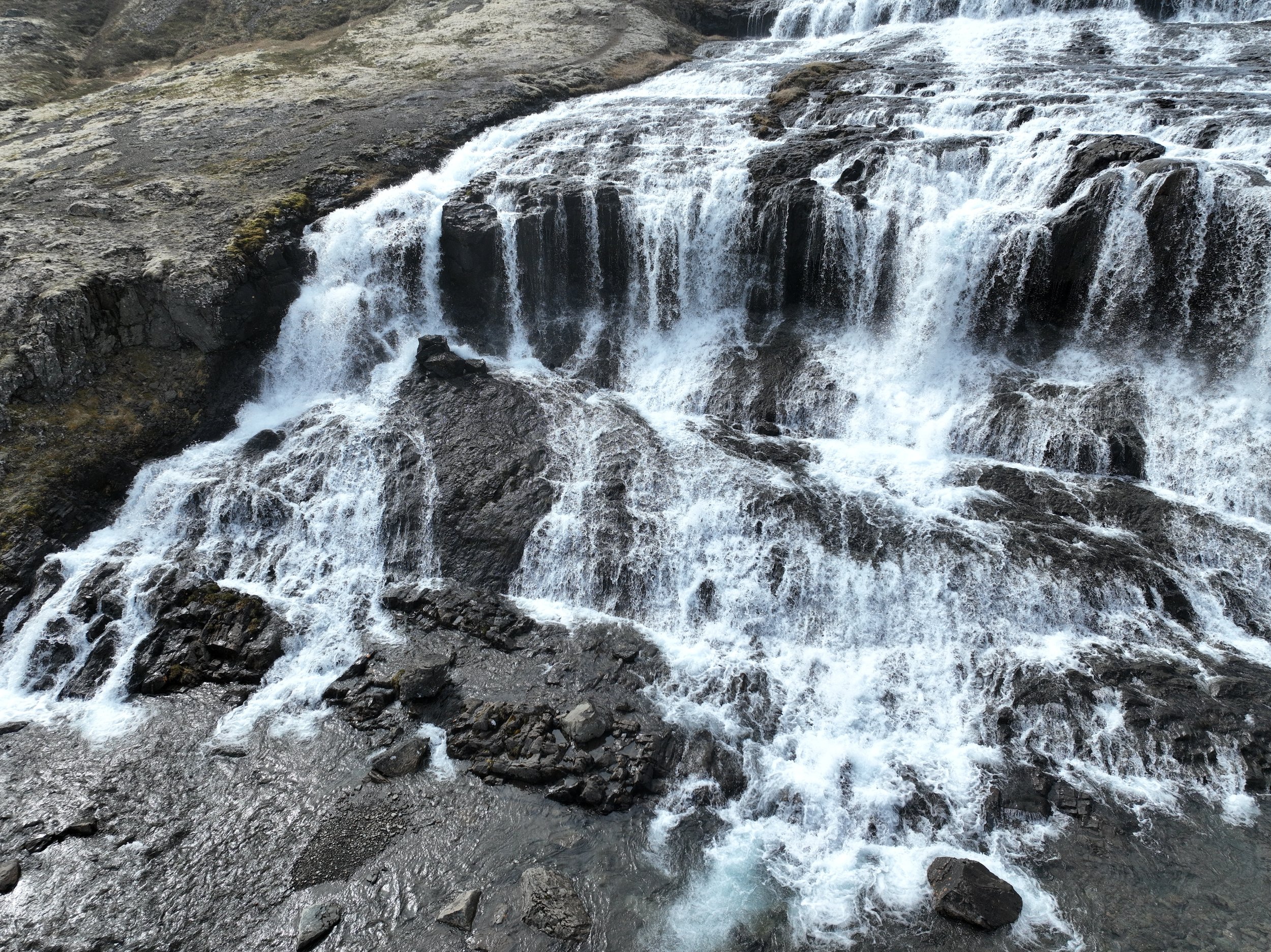 DJI_0081.jpg