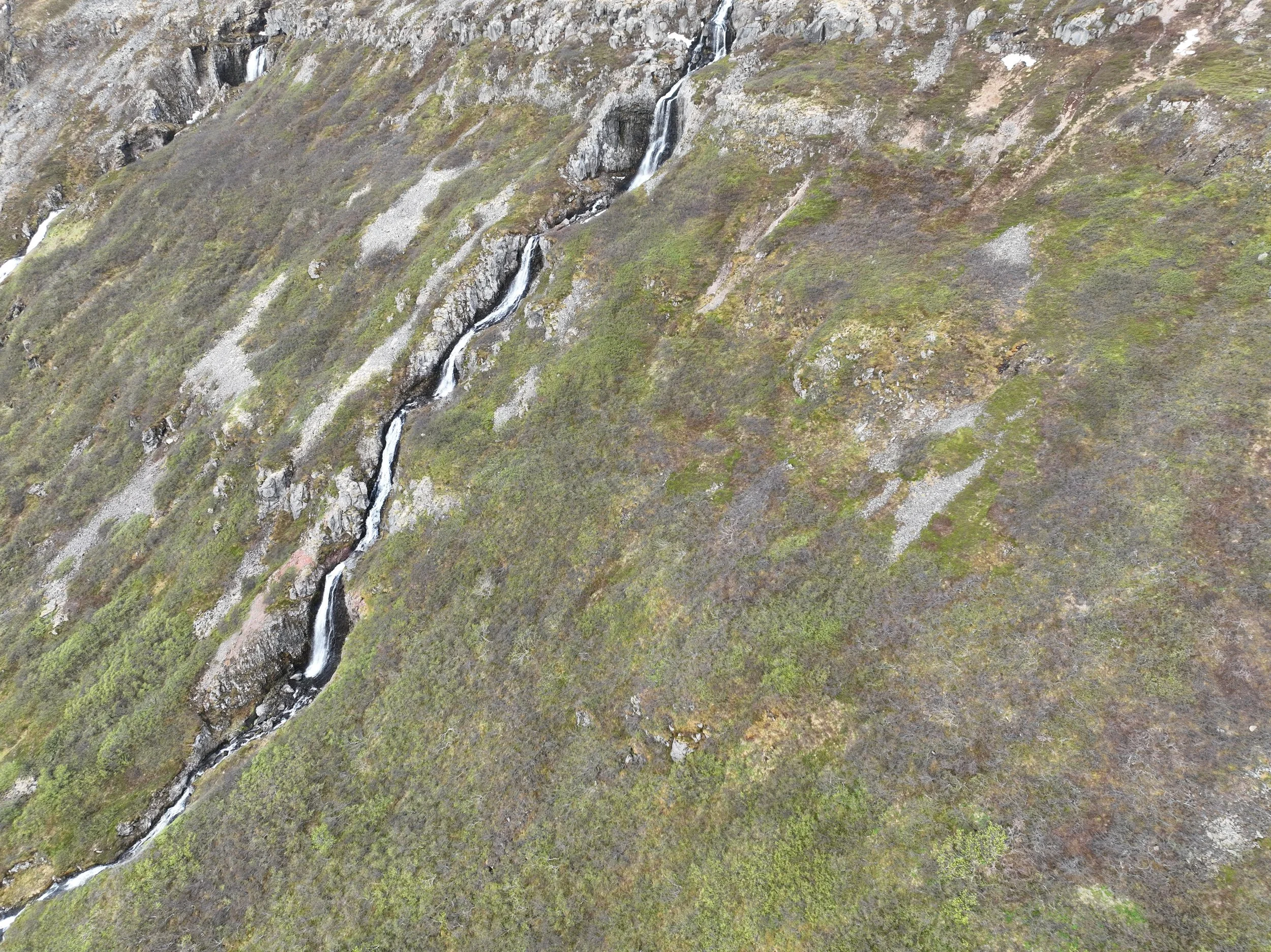 DJI_0187.jpg