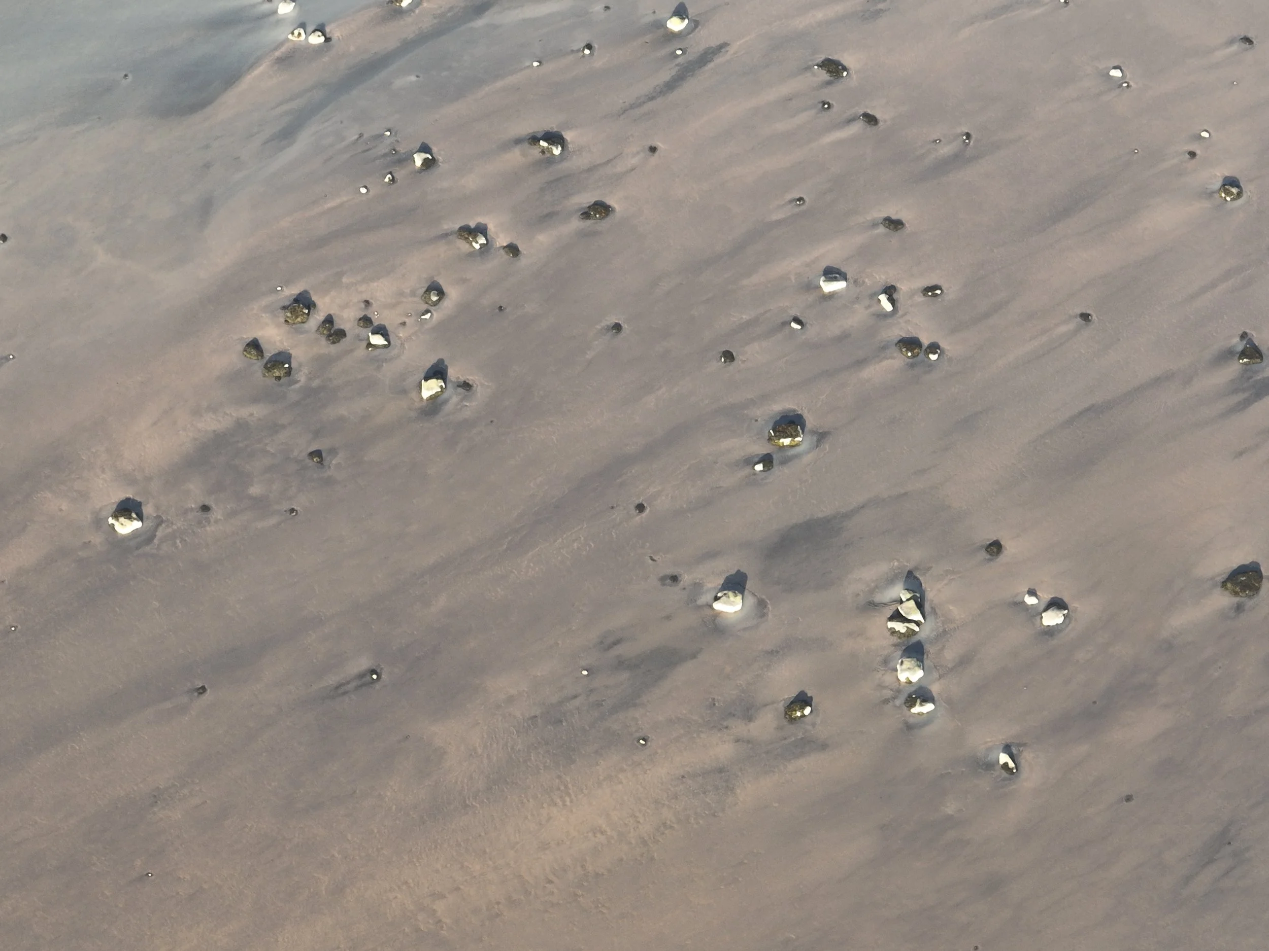 DJI_0387.jpg