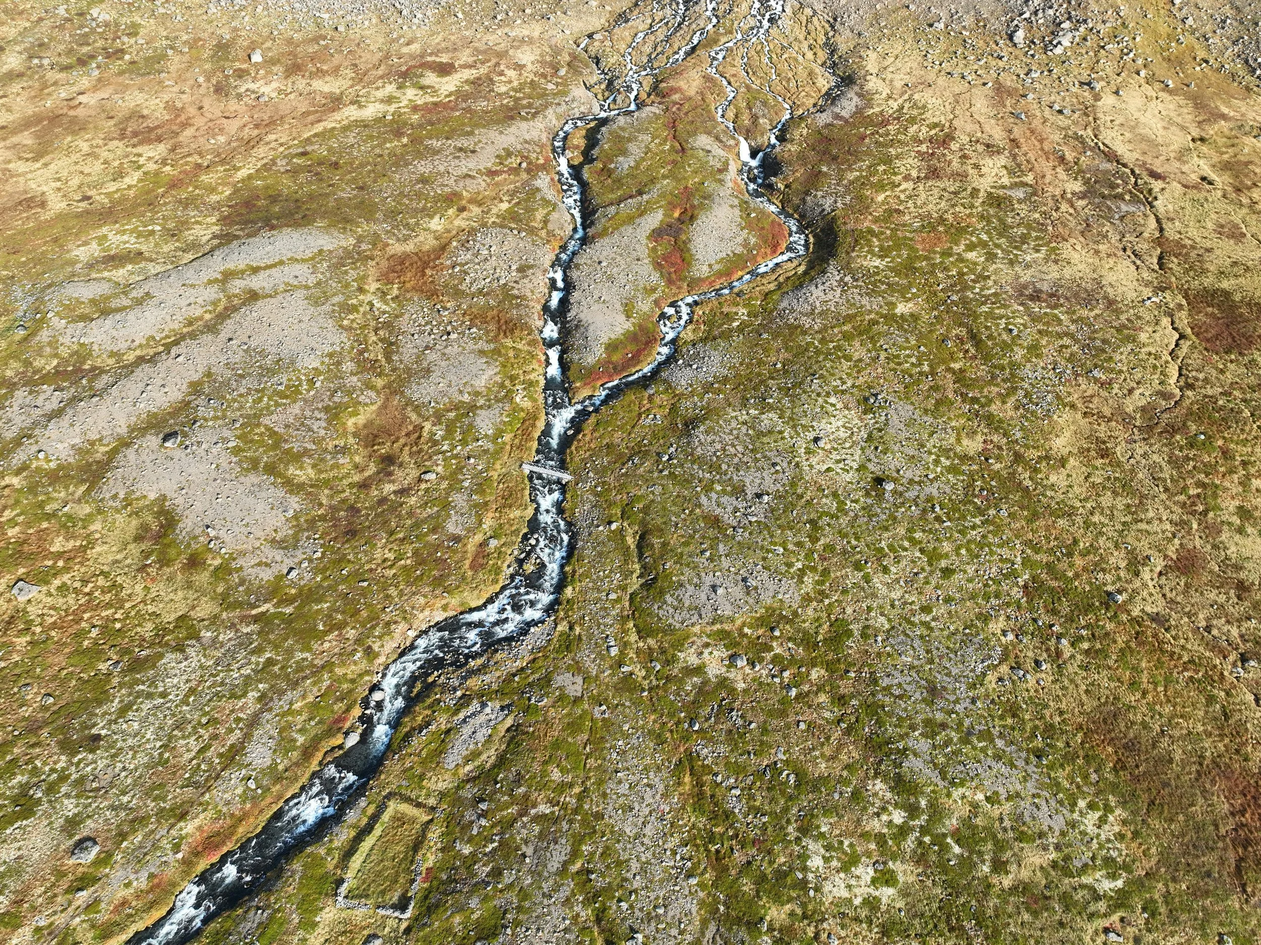 DJI_0332.jpg