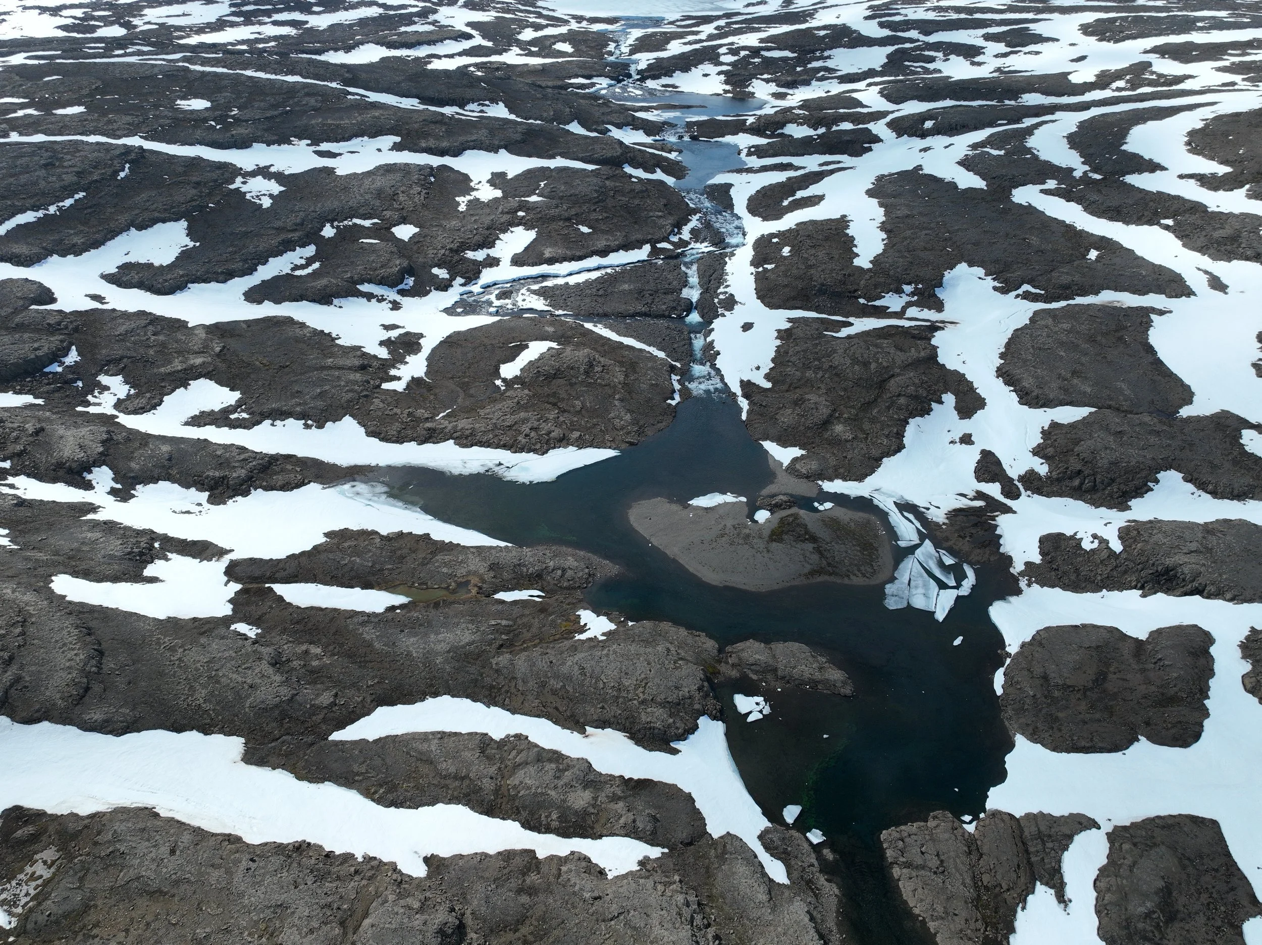 DJI_0124.jpg