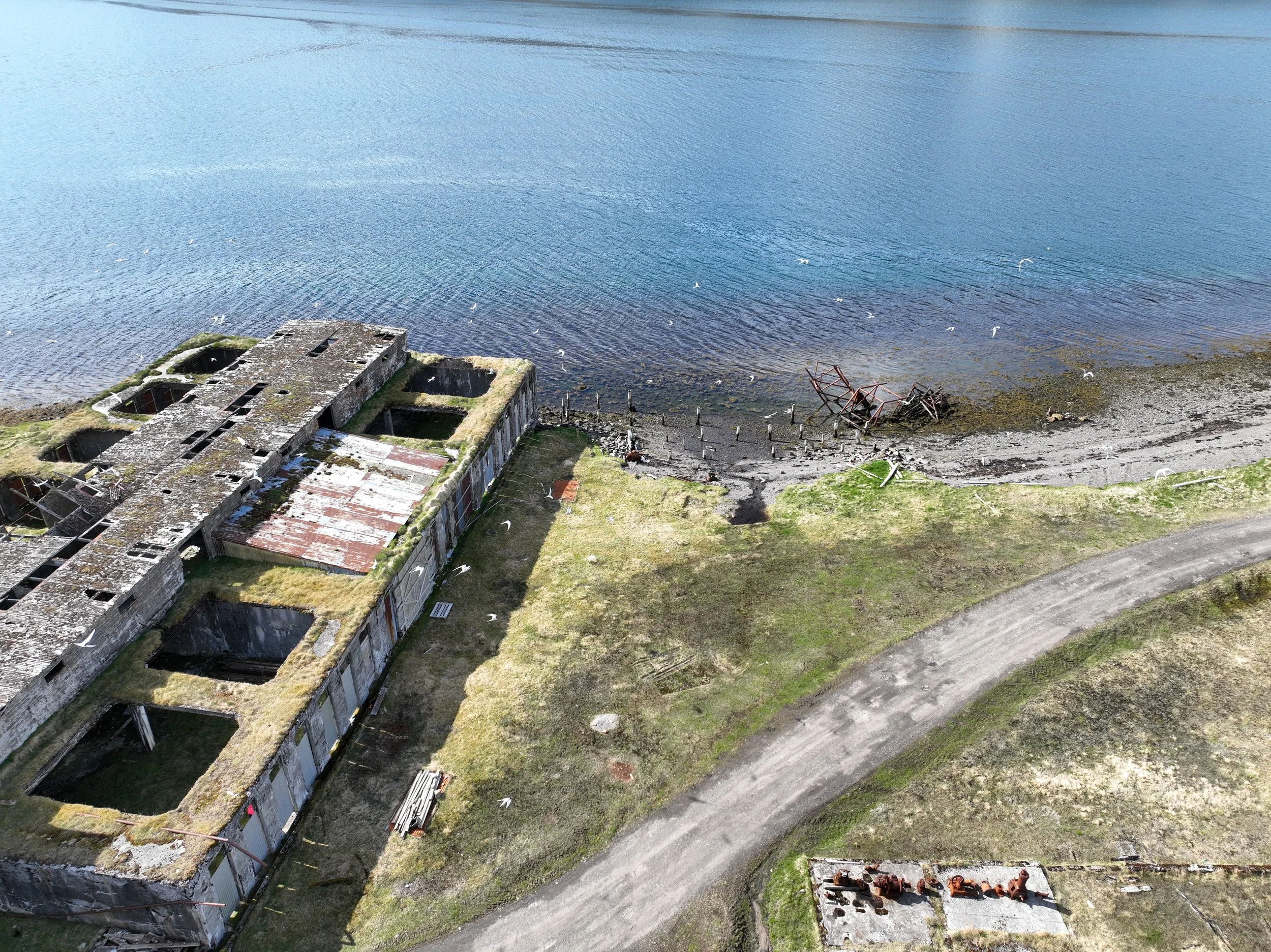 DJI_0169.jpg