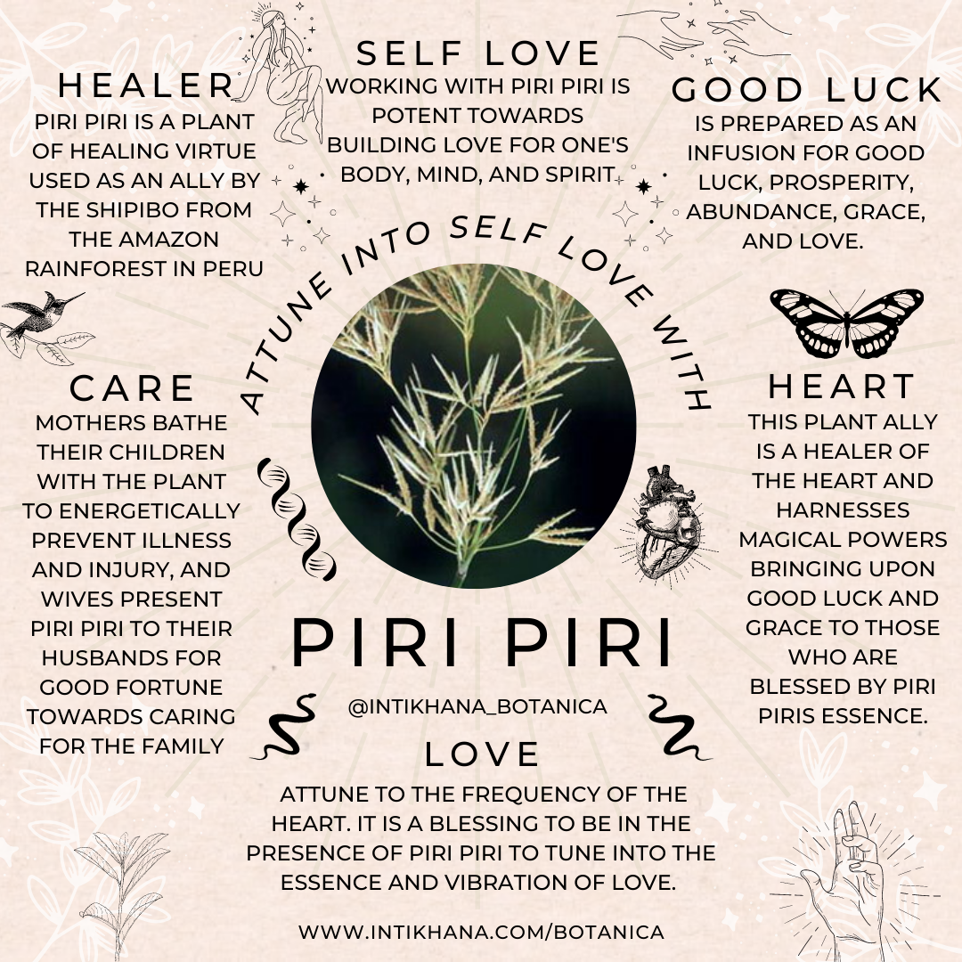 Piri Piri