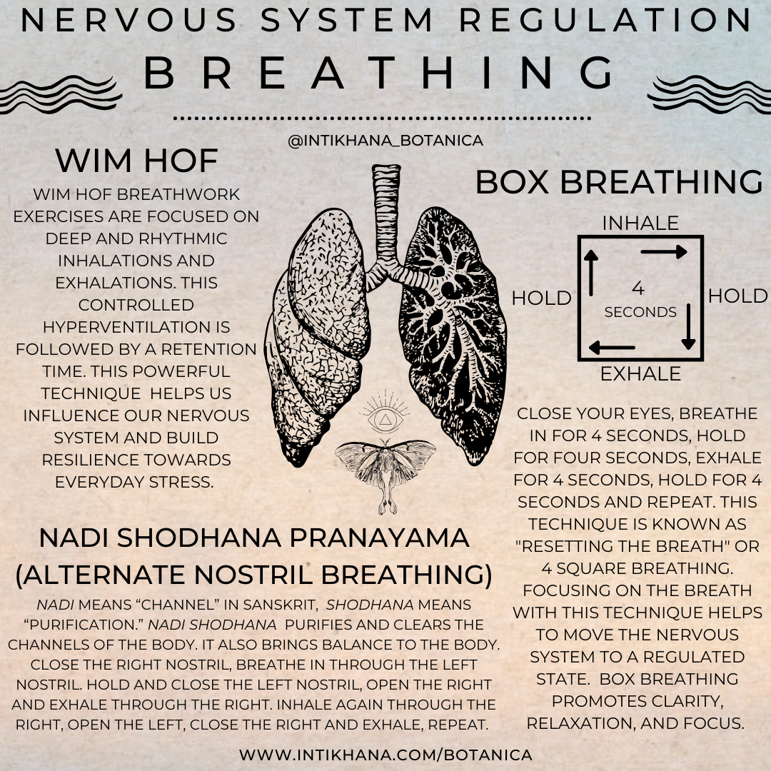 Nervous System Regulation