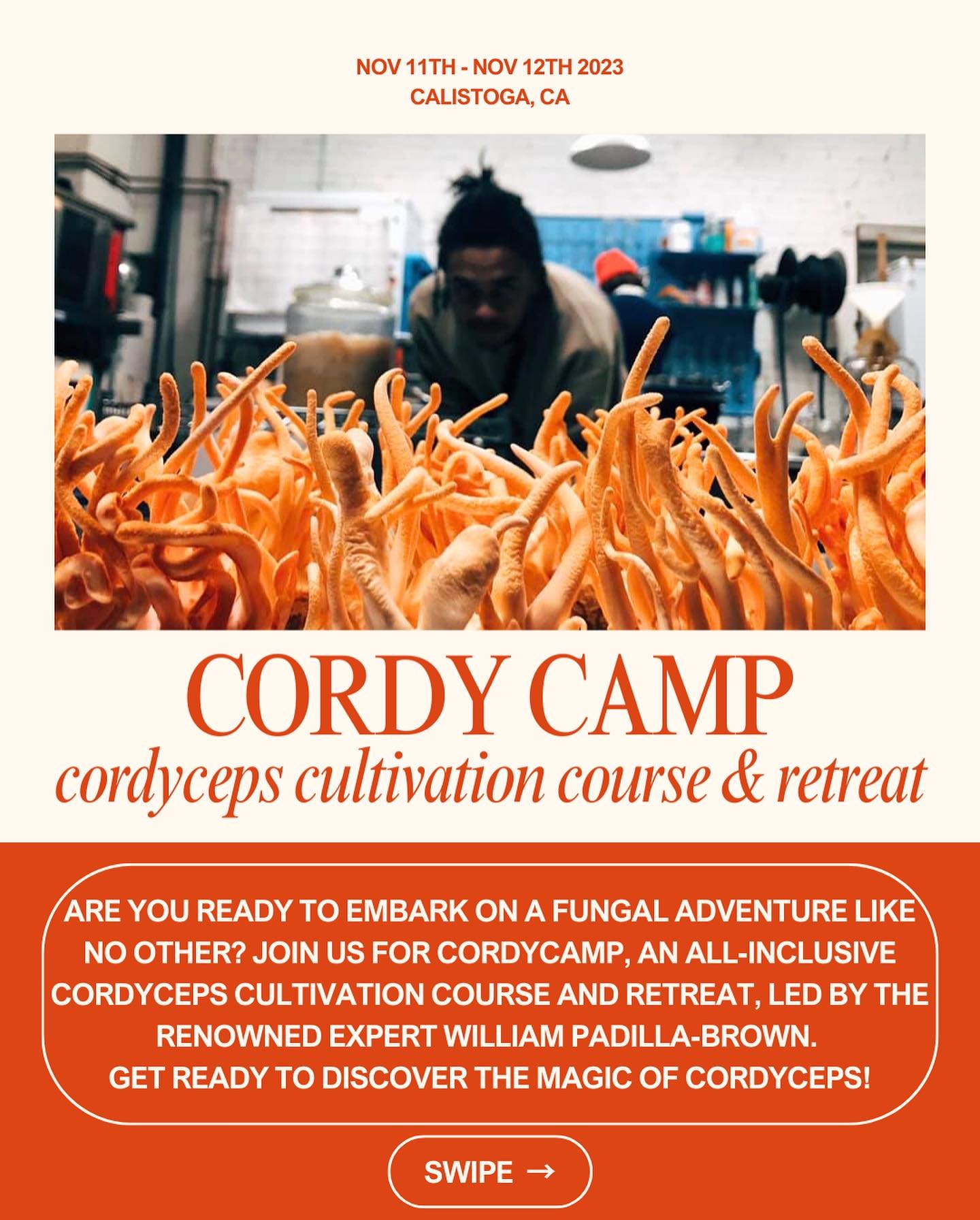 Cordy1.jpeg