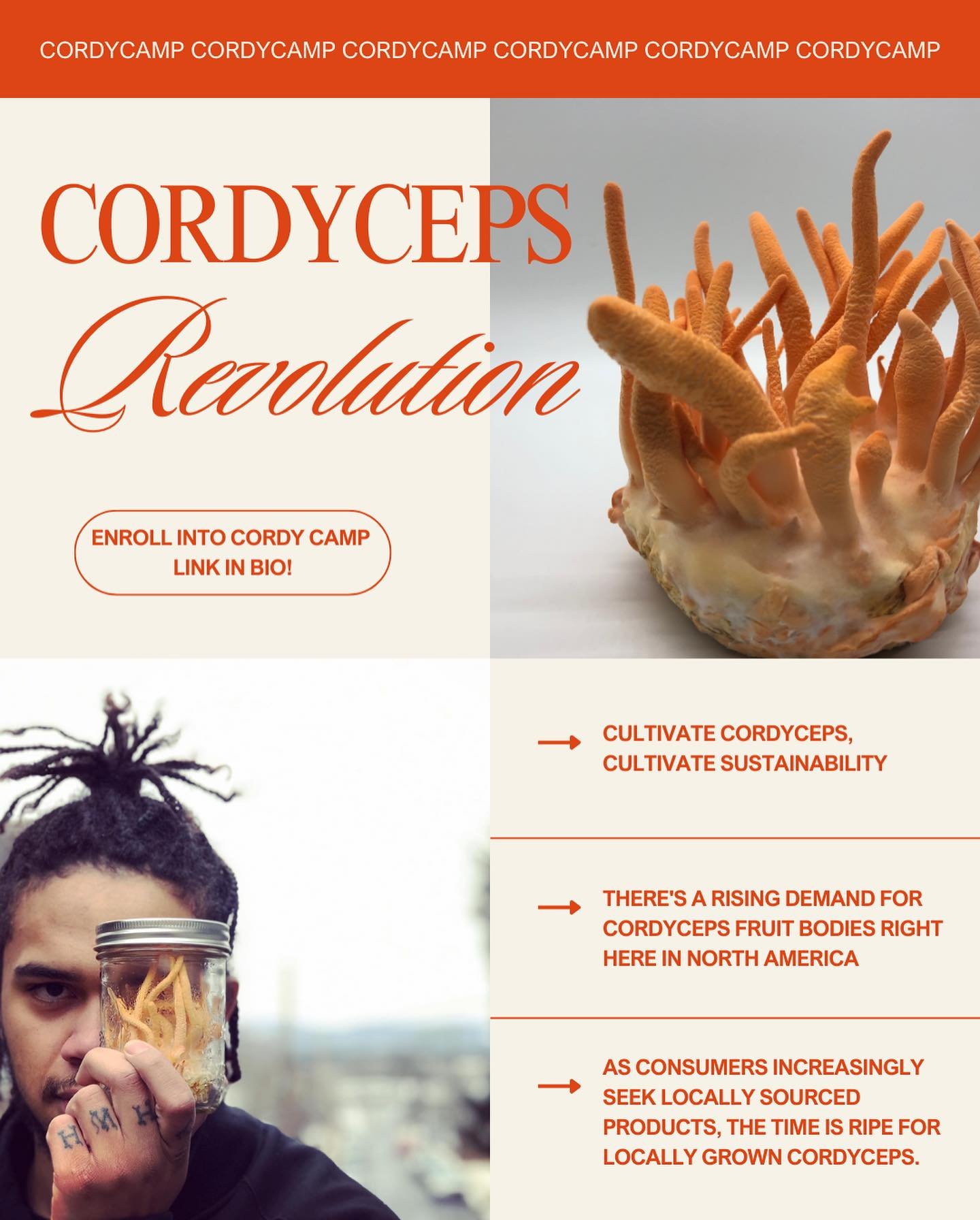 Cordy3.jpeg