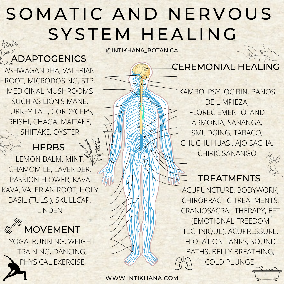 Somatic and Nervous System Healing