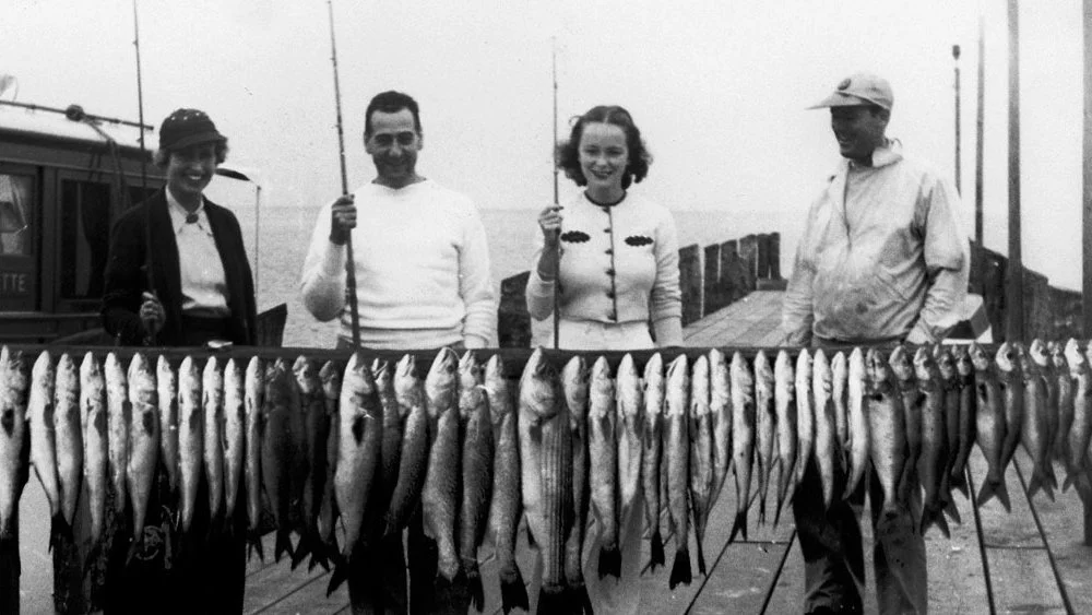Rooted in Place: Montauk, Americana, and the Spirit of Mavericks  