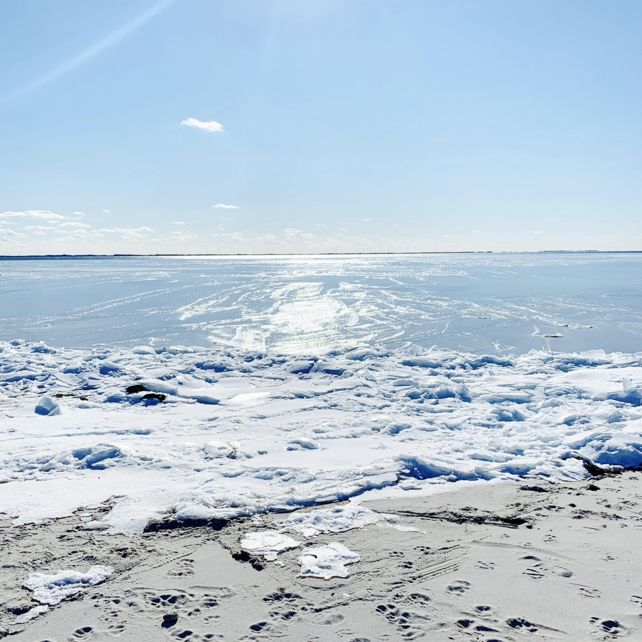 Upcoming Meeting - January