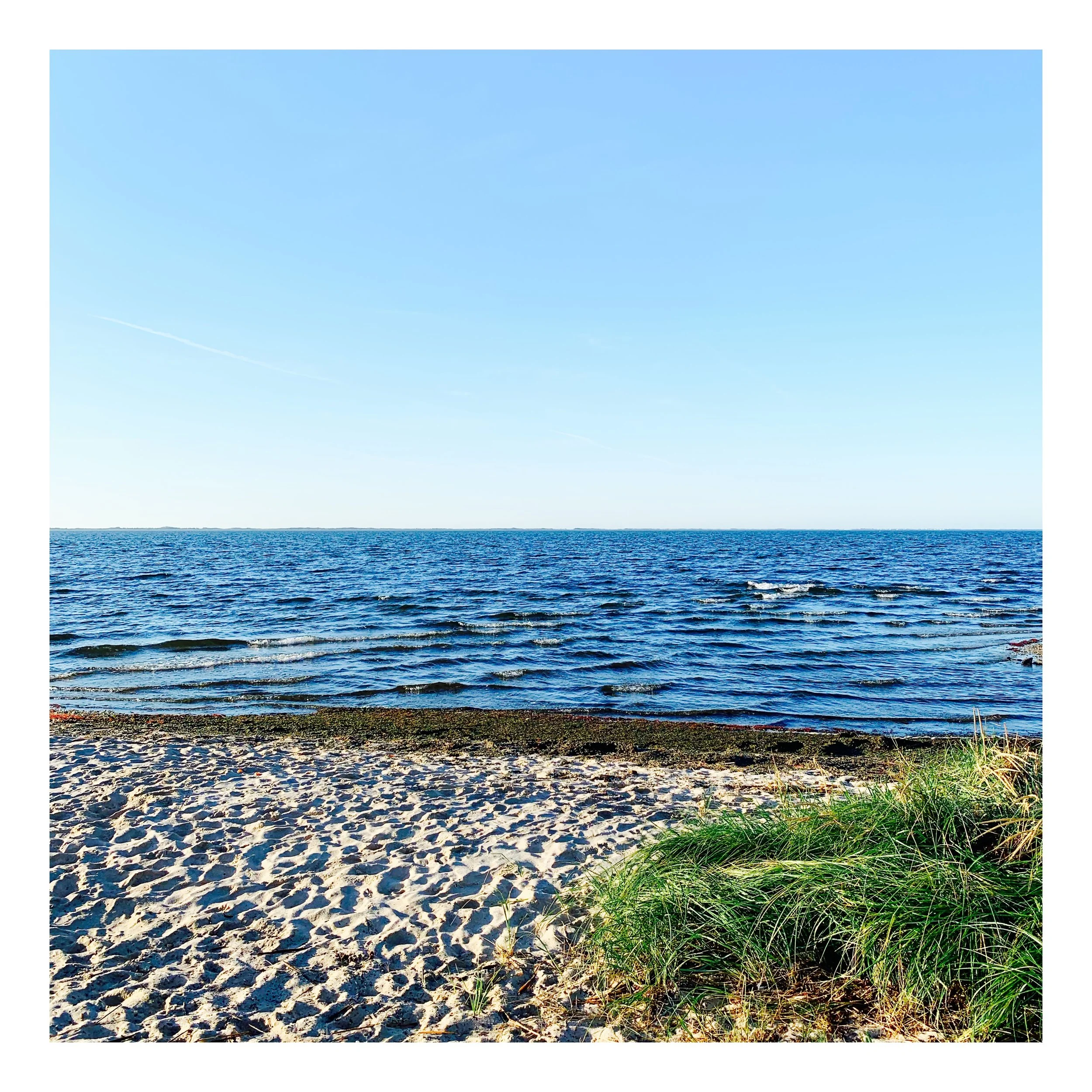 Will you be at our beach this season? Your neighbors will! Join us!