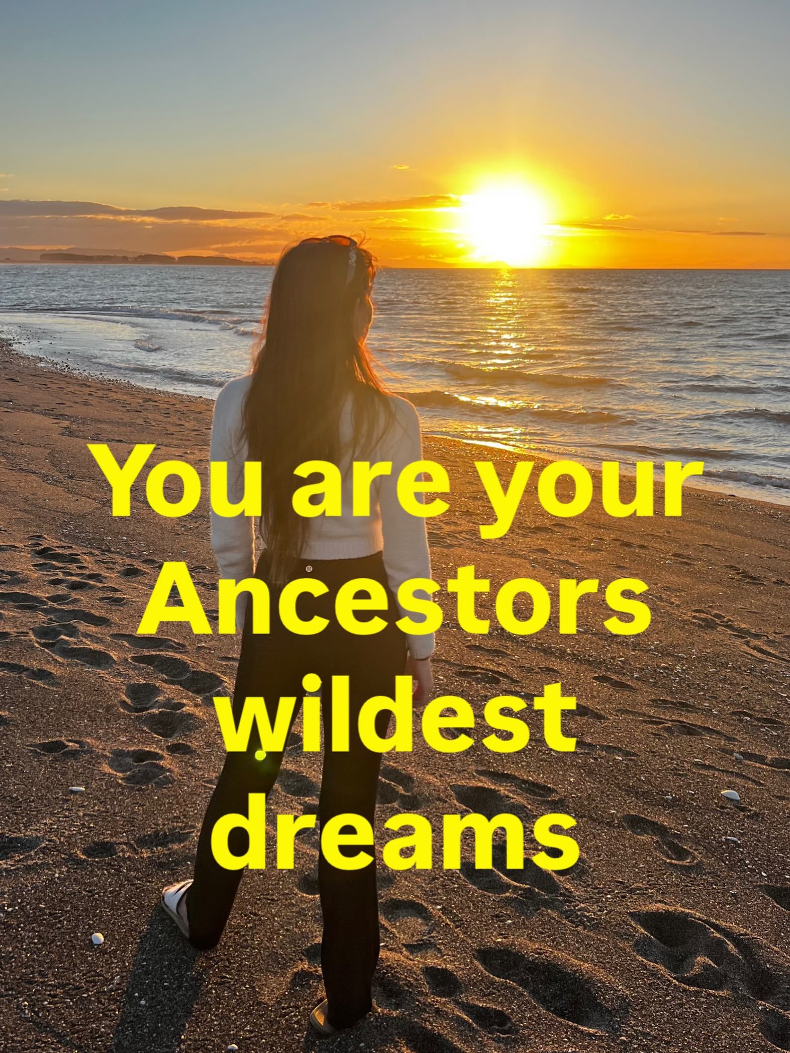 Tōku toa, he toa rangatira

🐚 

My strength is not mine alone, but comes from my ancestors.

Any bravery, success, or nobility is inherited from the noble tūpuna who walked before us.