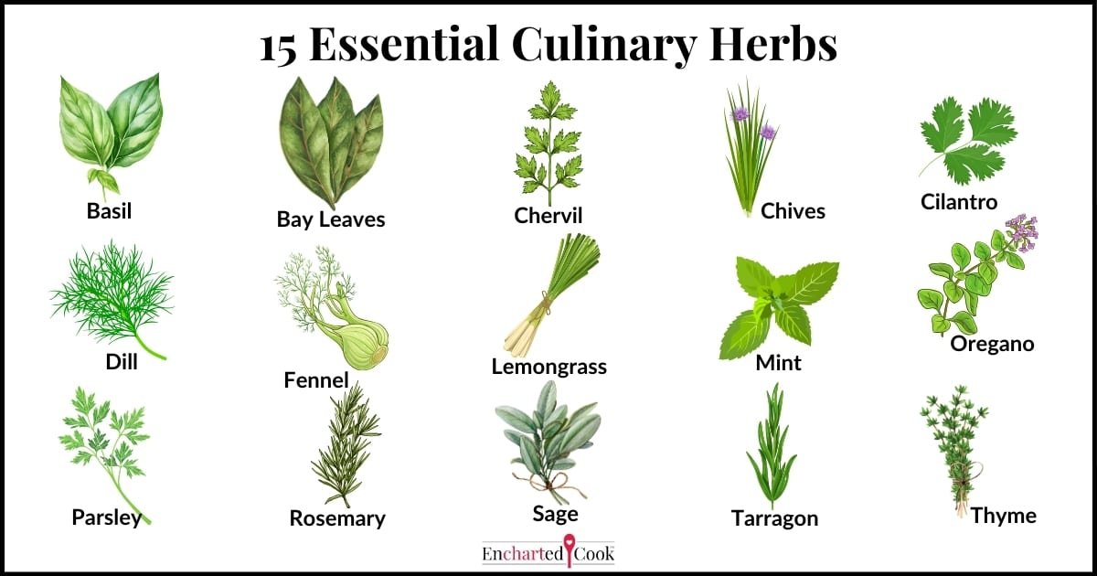 Growing and Using Herbs
