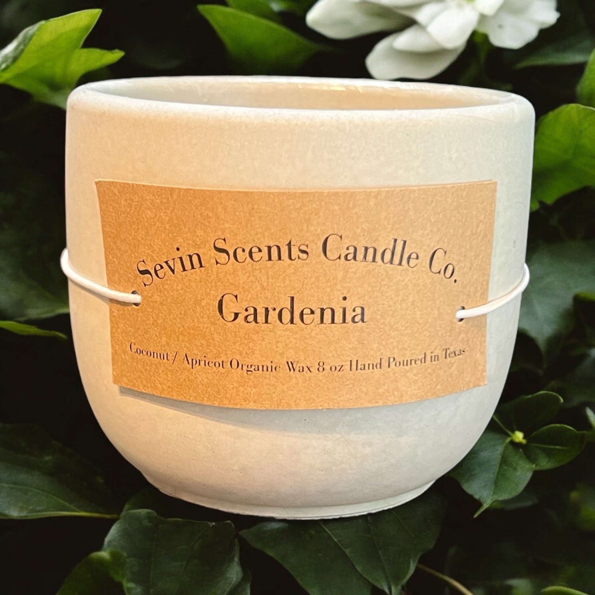 Gardenia