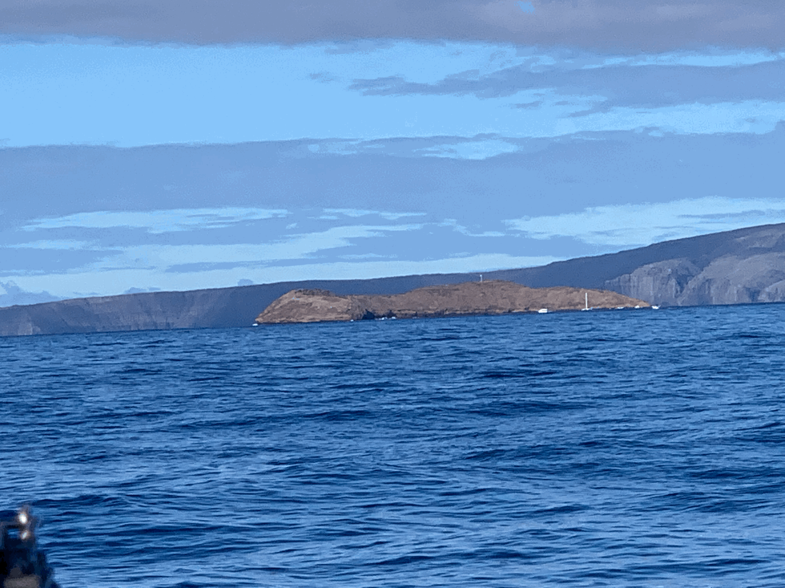 Maui- Molokini Crater