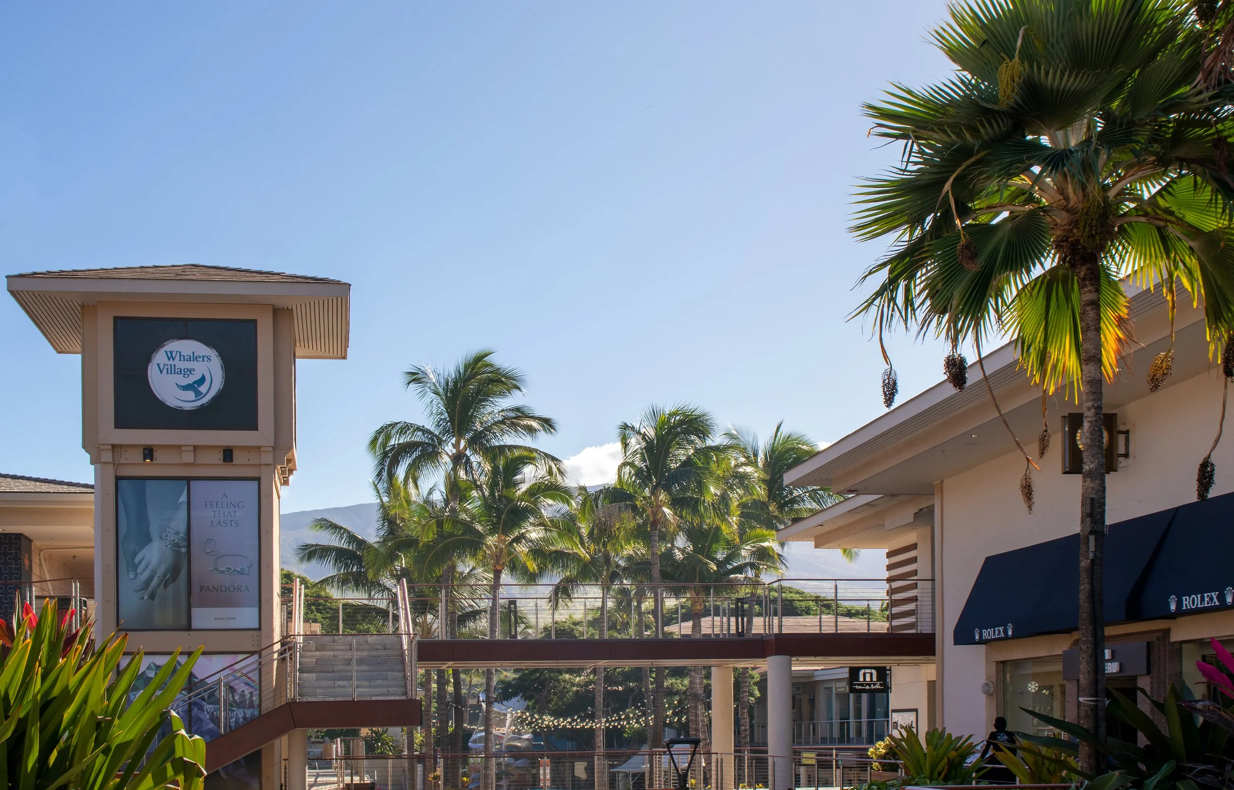 Maui- Whalers Village