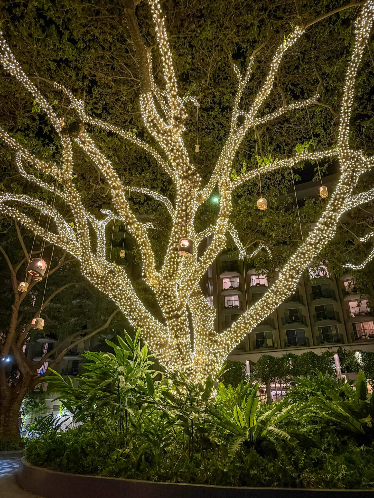 westin resort rooms maui hawaii-1.jpg