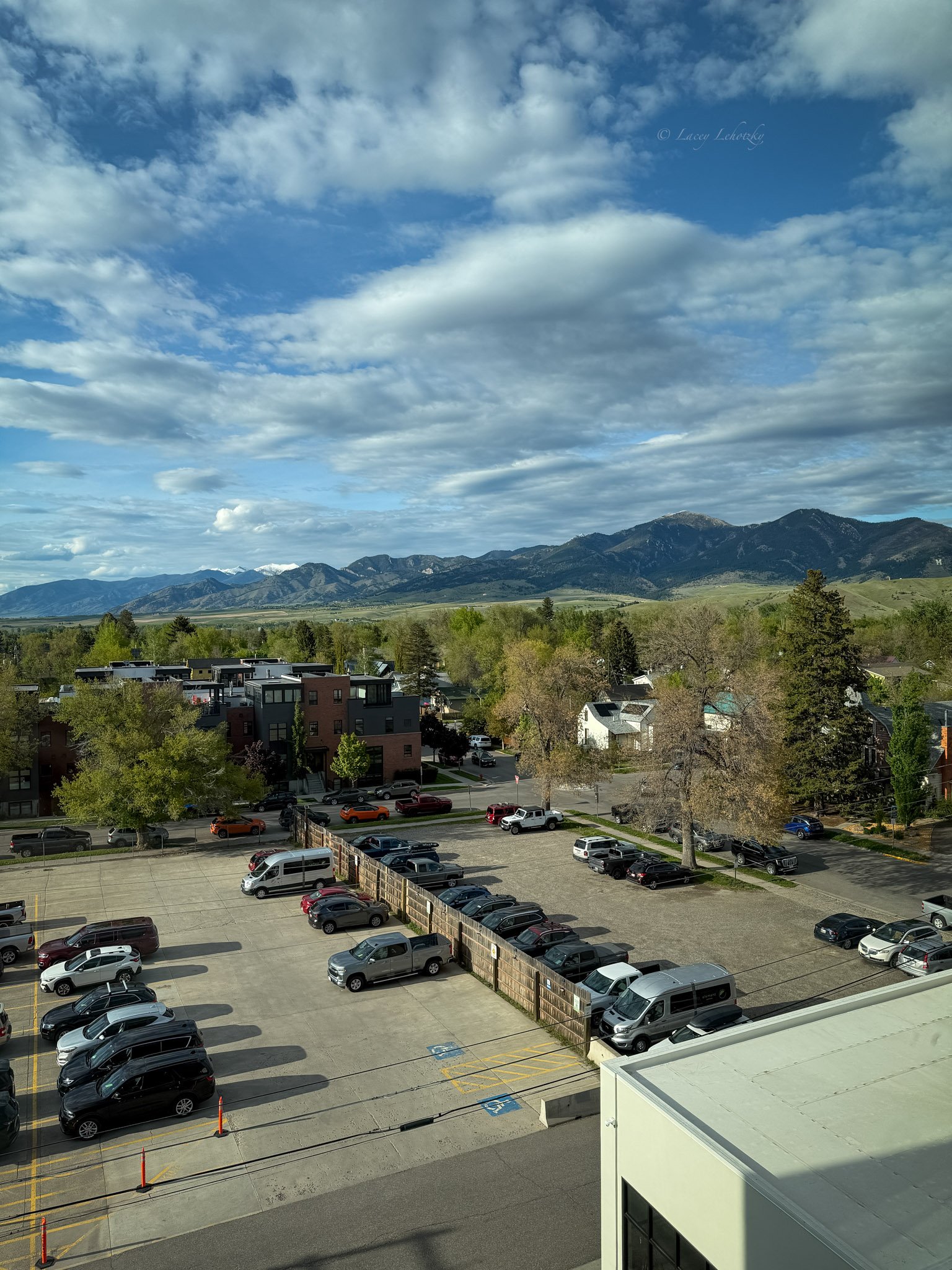 element by marriott bozeman hotel room-4.jpg