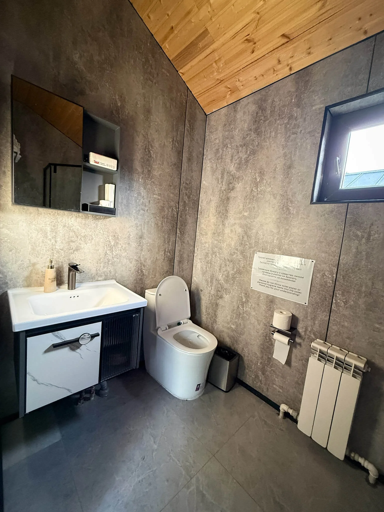 cozyrest hotel kolsai kaindy lake kazakhstan-5.jpg