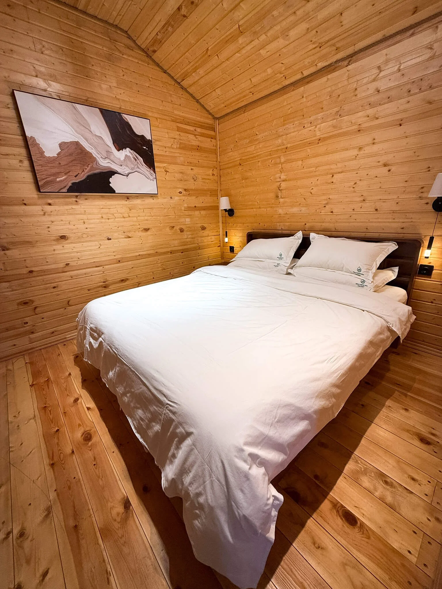 cozyrest hotel kolsai kaindy lake kazakhstan-6.jpg