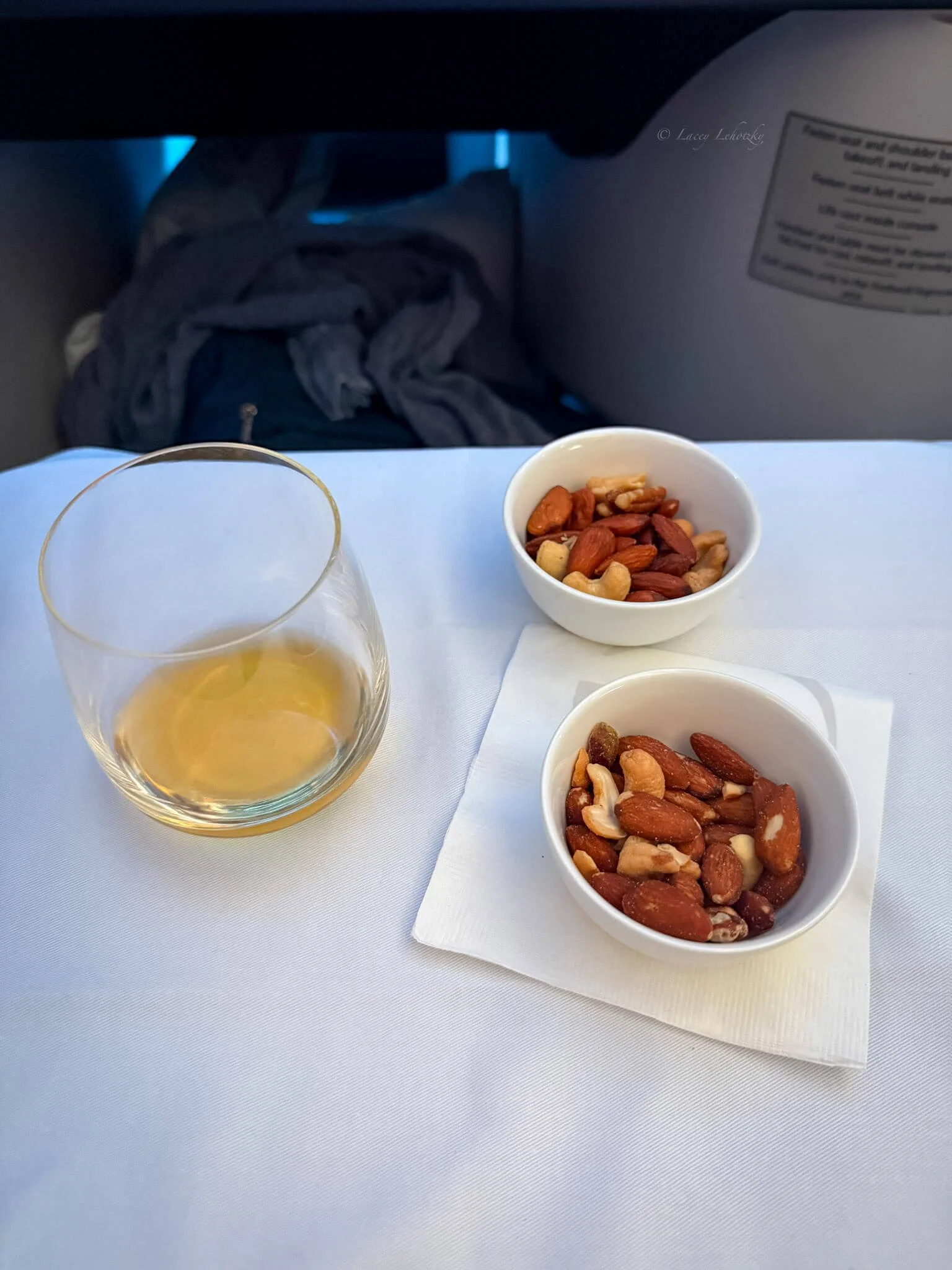 delta one lie flat business class review-2.jpg
