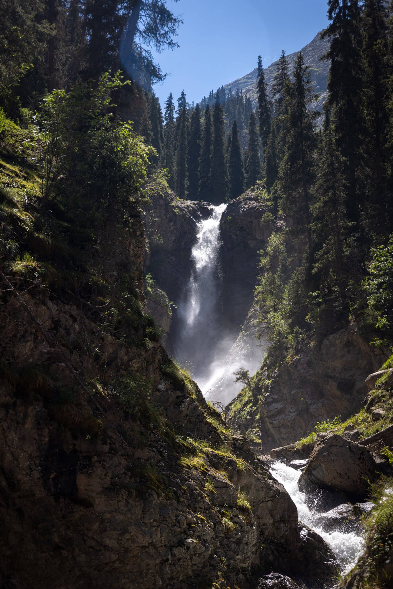a waterfall gushes down the side of a mountain surrounded by alpine trees barksoon gorge kyrgyzstan