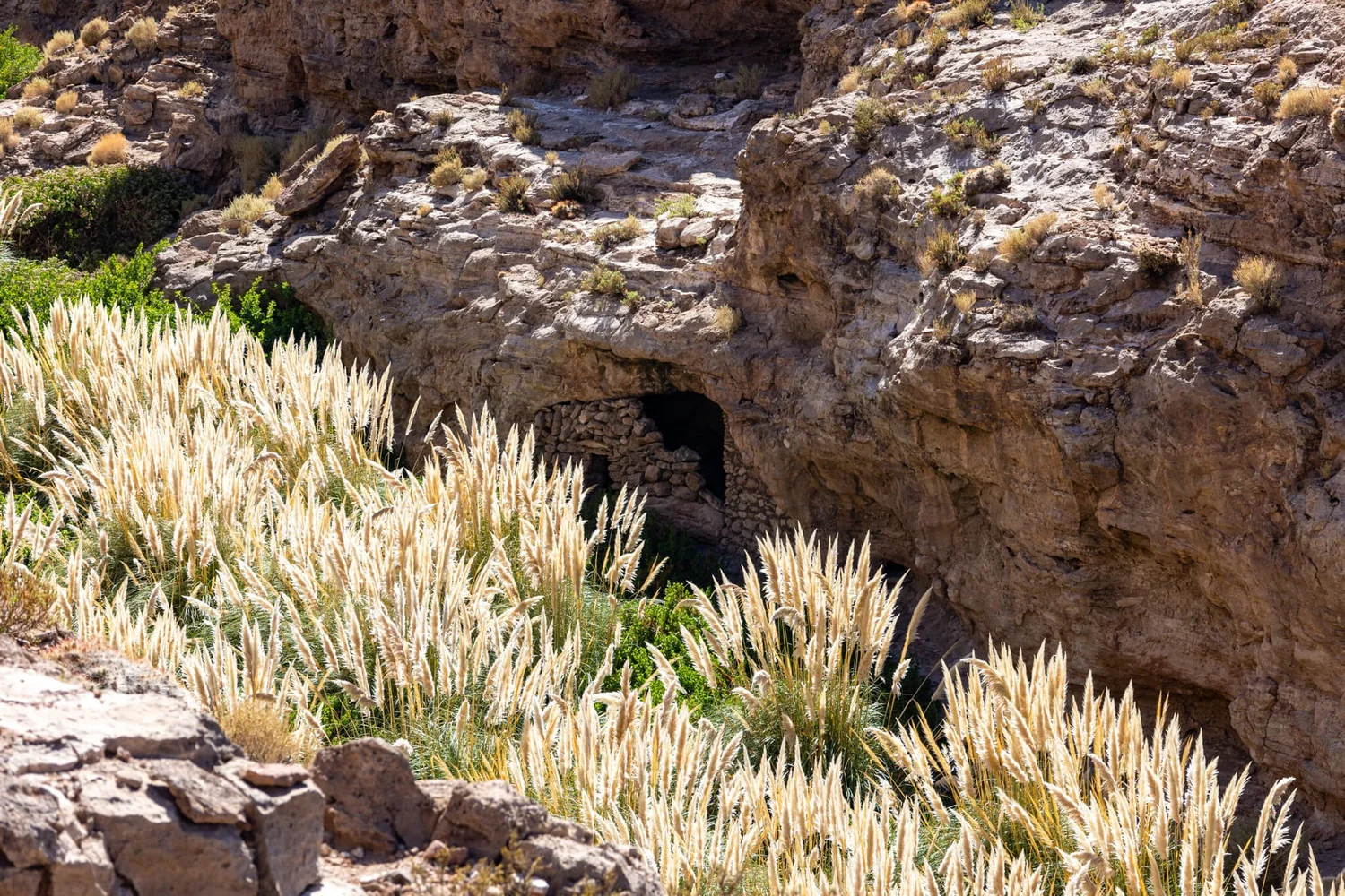 How to Spend 6 Days in the Atacama Desert, Chile — Live it up with Lacey